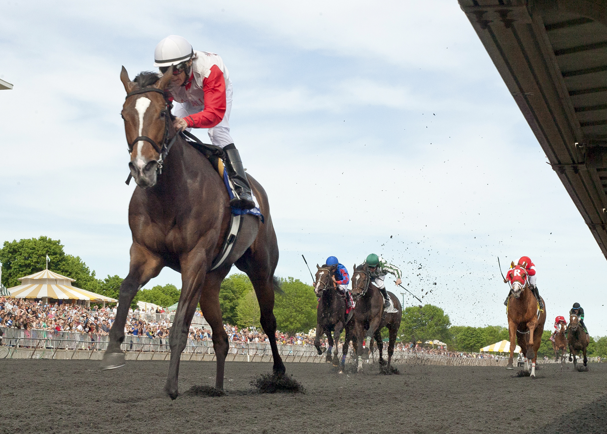 La Tia wins the 2013 Arlington Matron