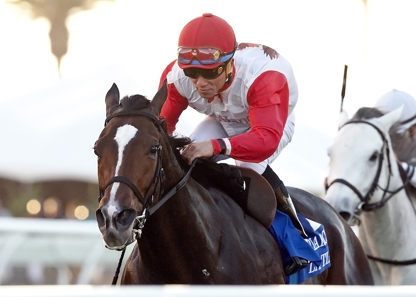 La Tia wins the Matriarch Stakes