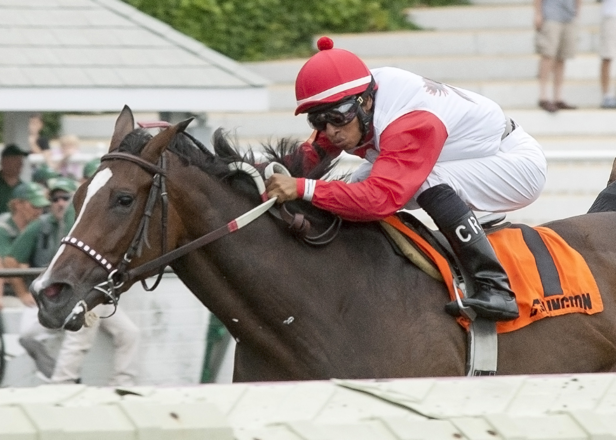 La Tia/Arlington Oaks inside rail