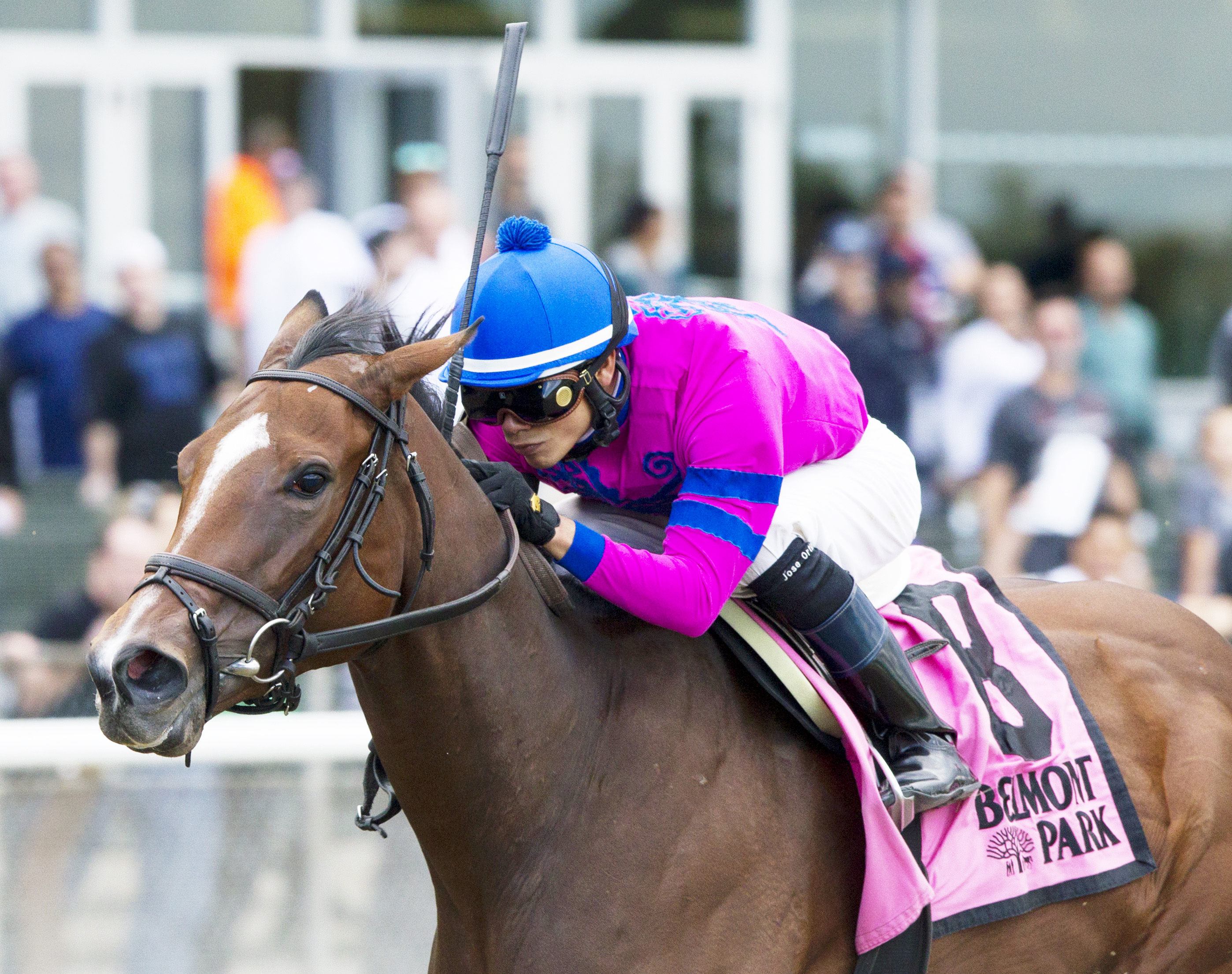 La Verdad wins the Iroquios Stakes
