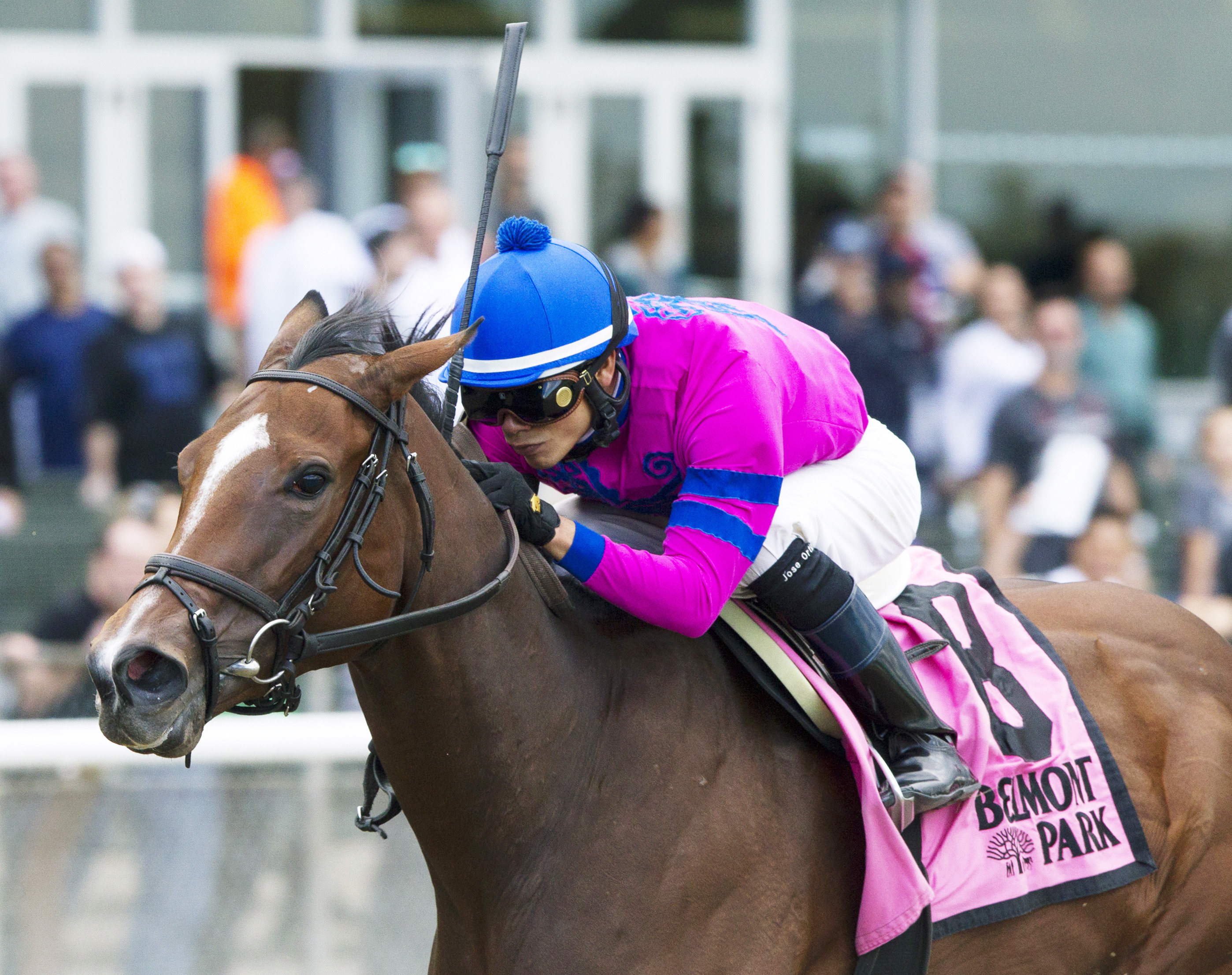 La Verdad wins the Iroquios Stakes