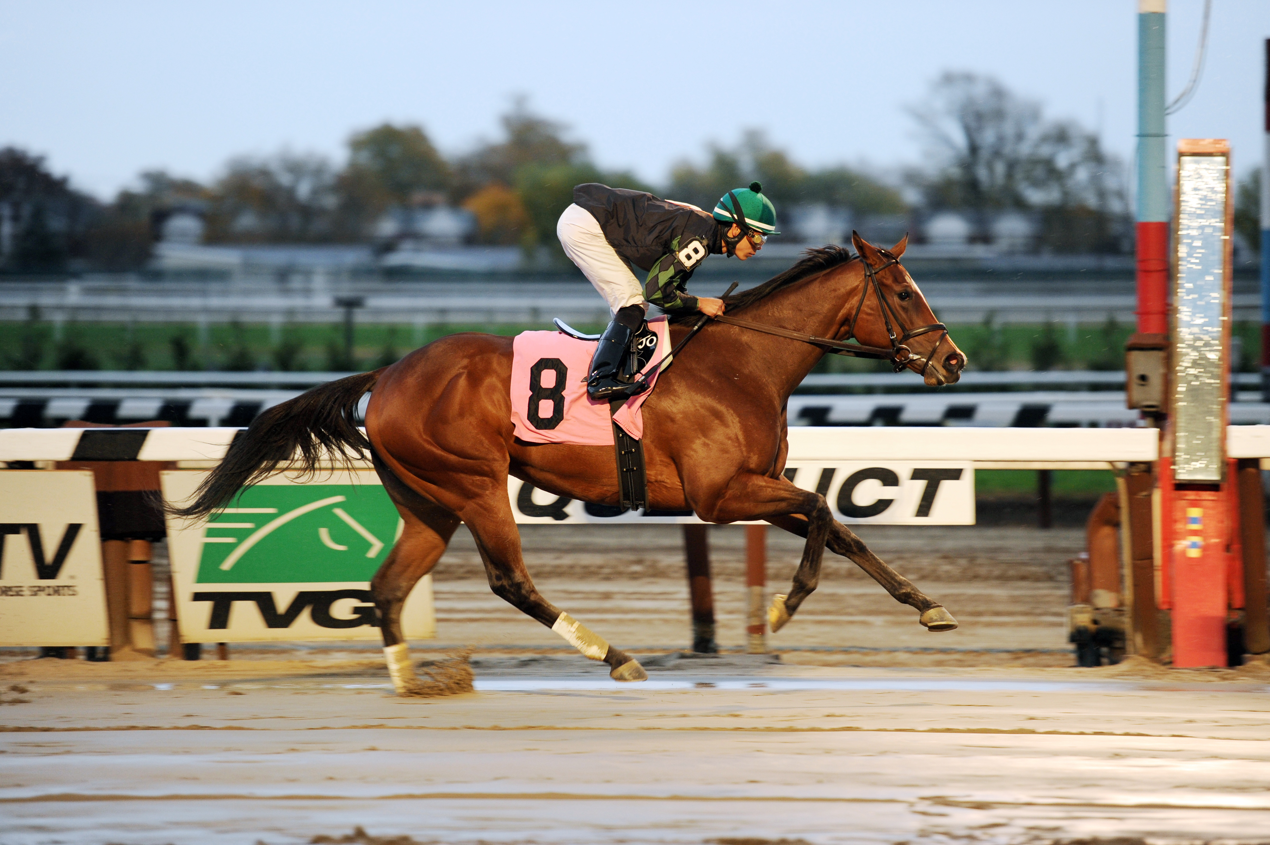 La Verdad wins an optional claiming race in November