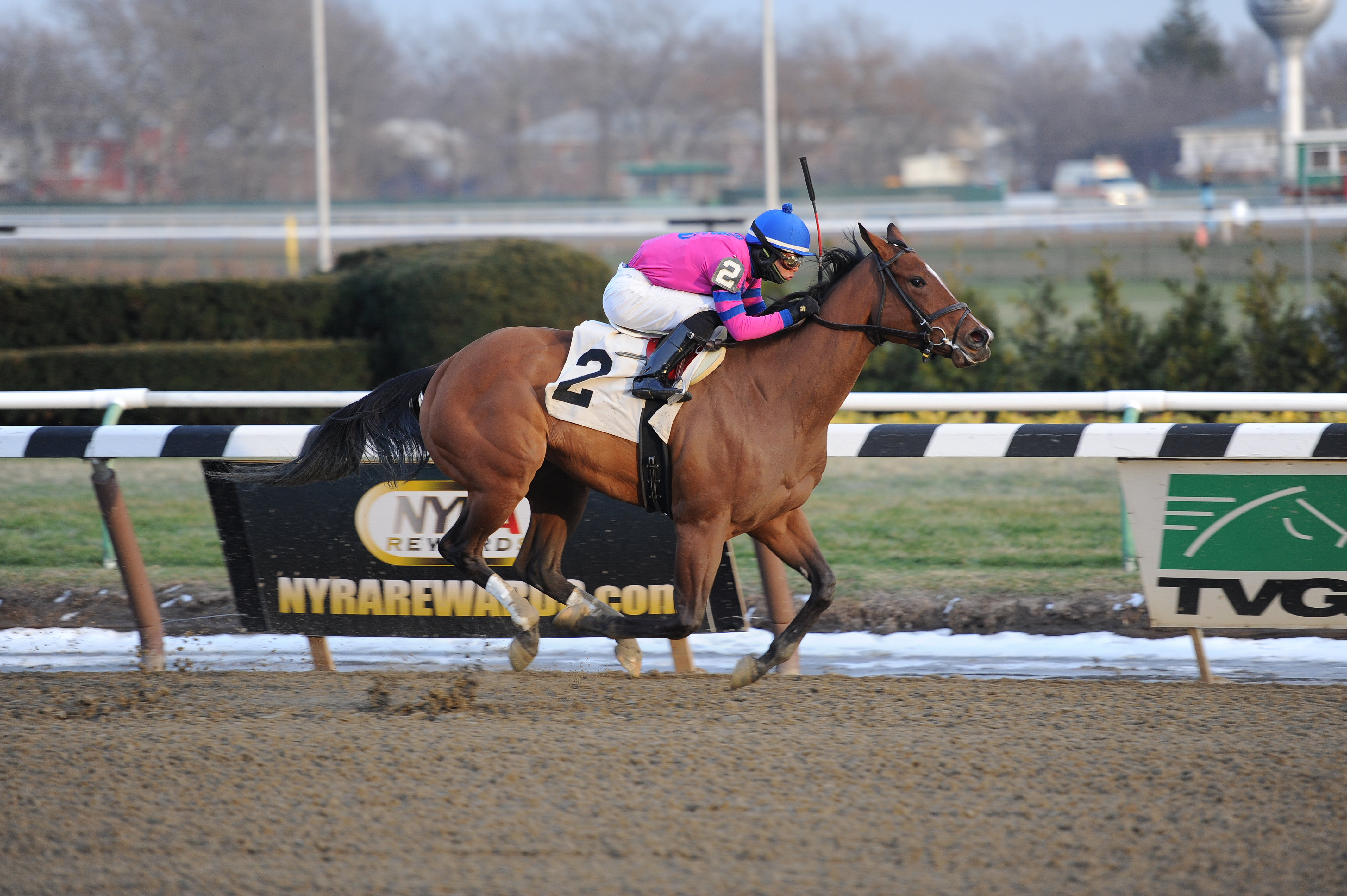 La Verdad wins an optional claiming race