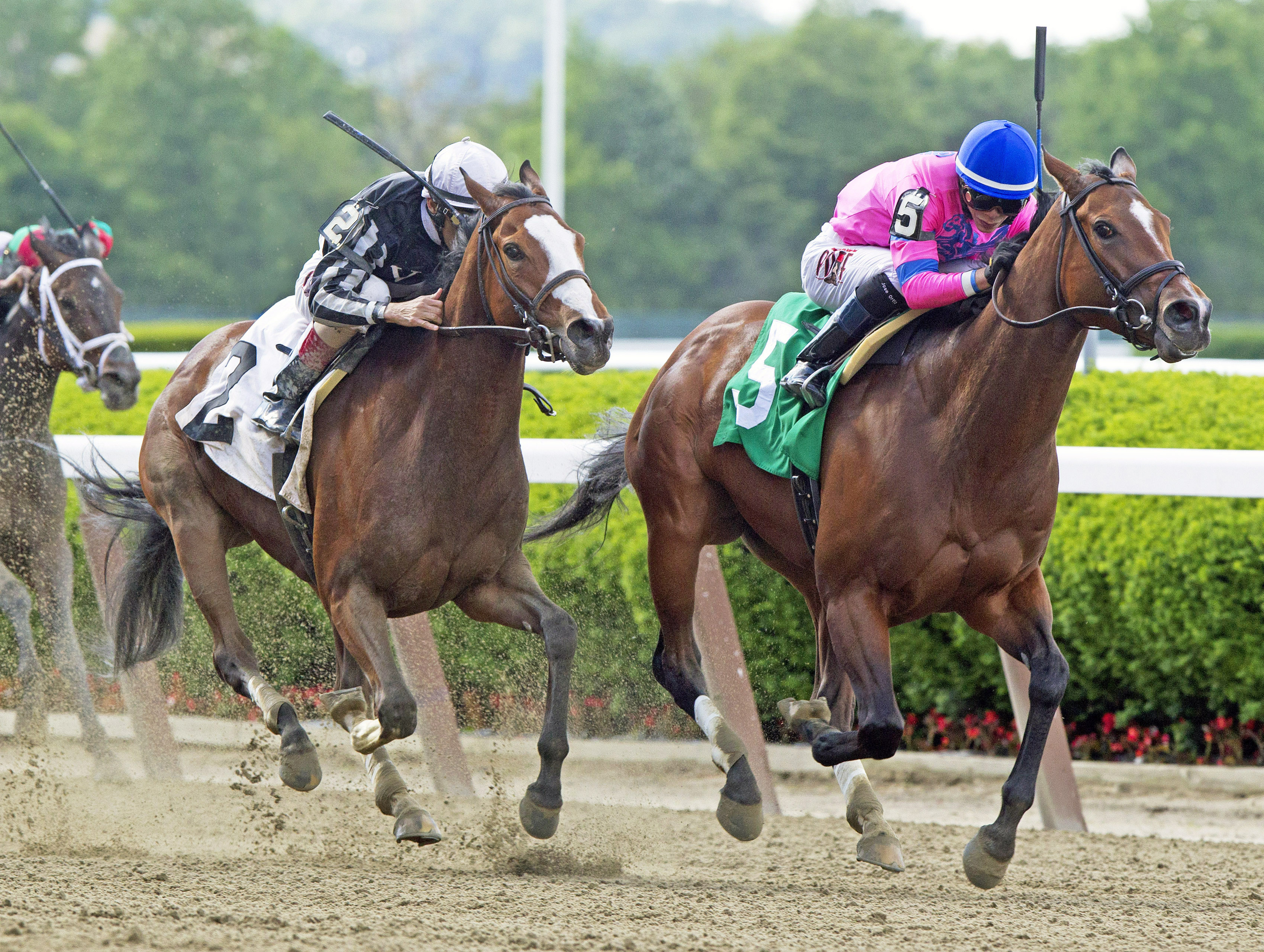 La Verdad wins the Critical Eye