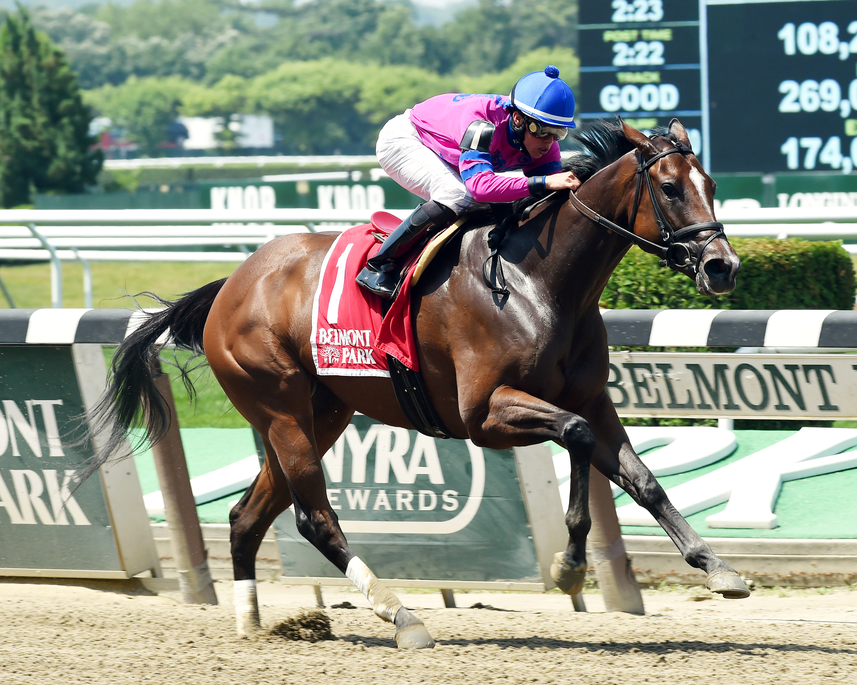 La Verdad wins the Dancin Renee