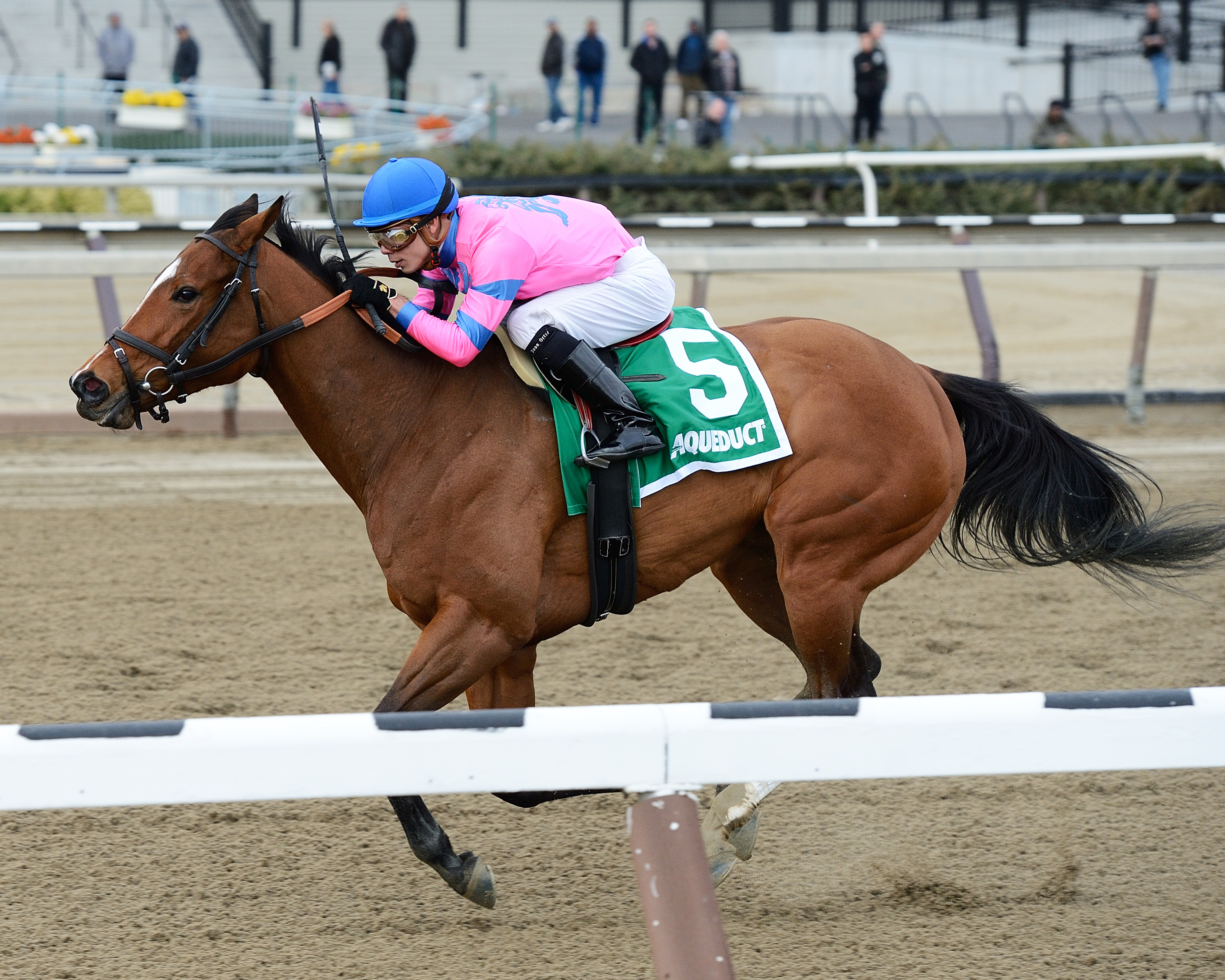 La Verdad wins the Interborough Stakes