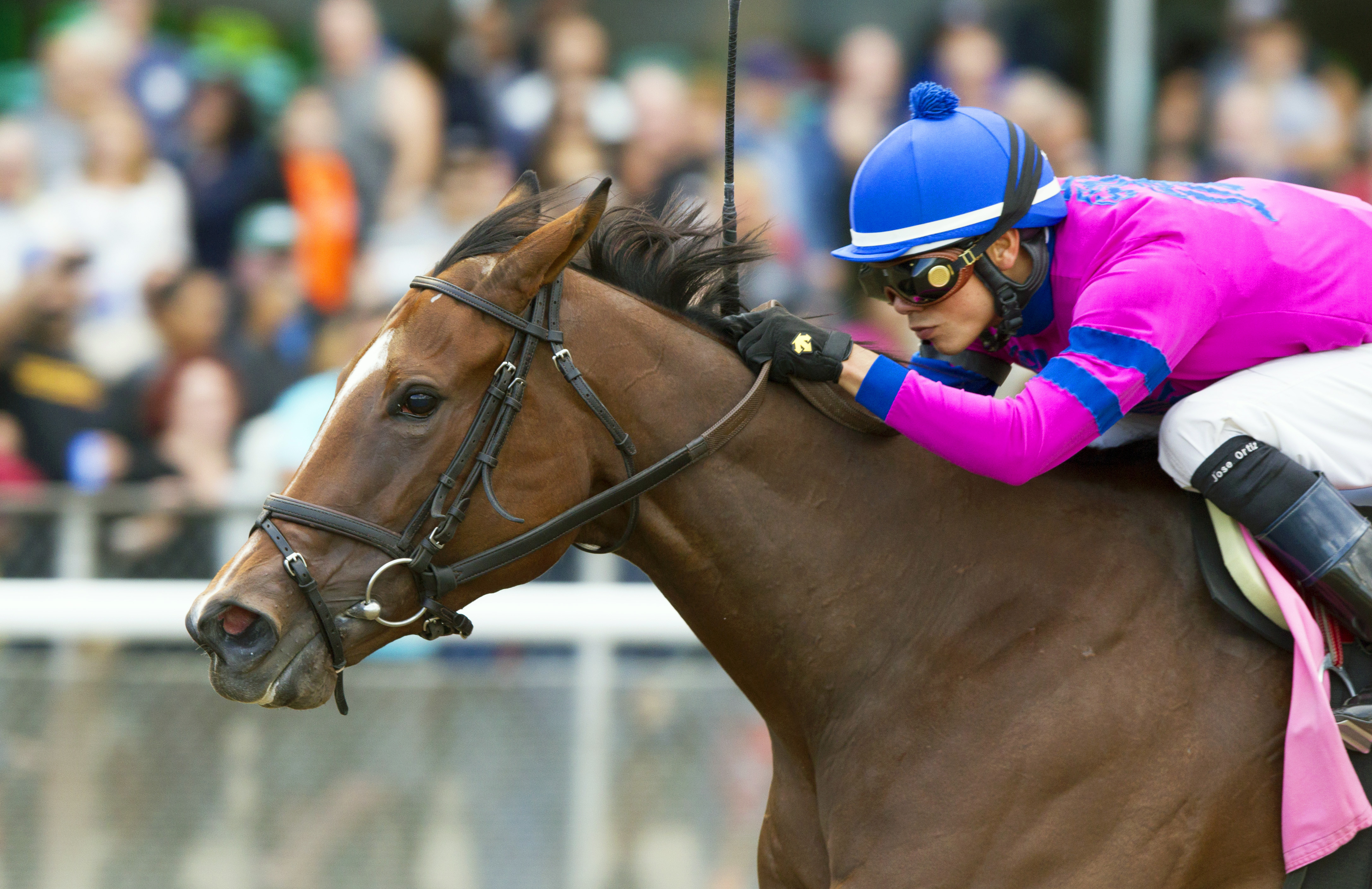 La Verdad wins the Iroquois Stakes