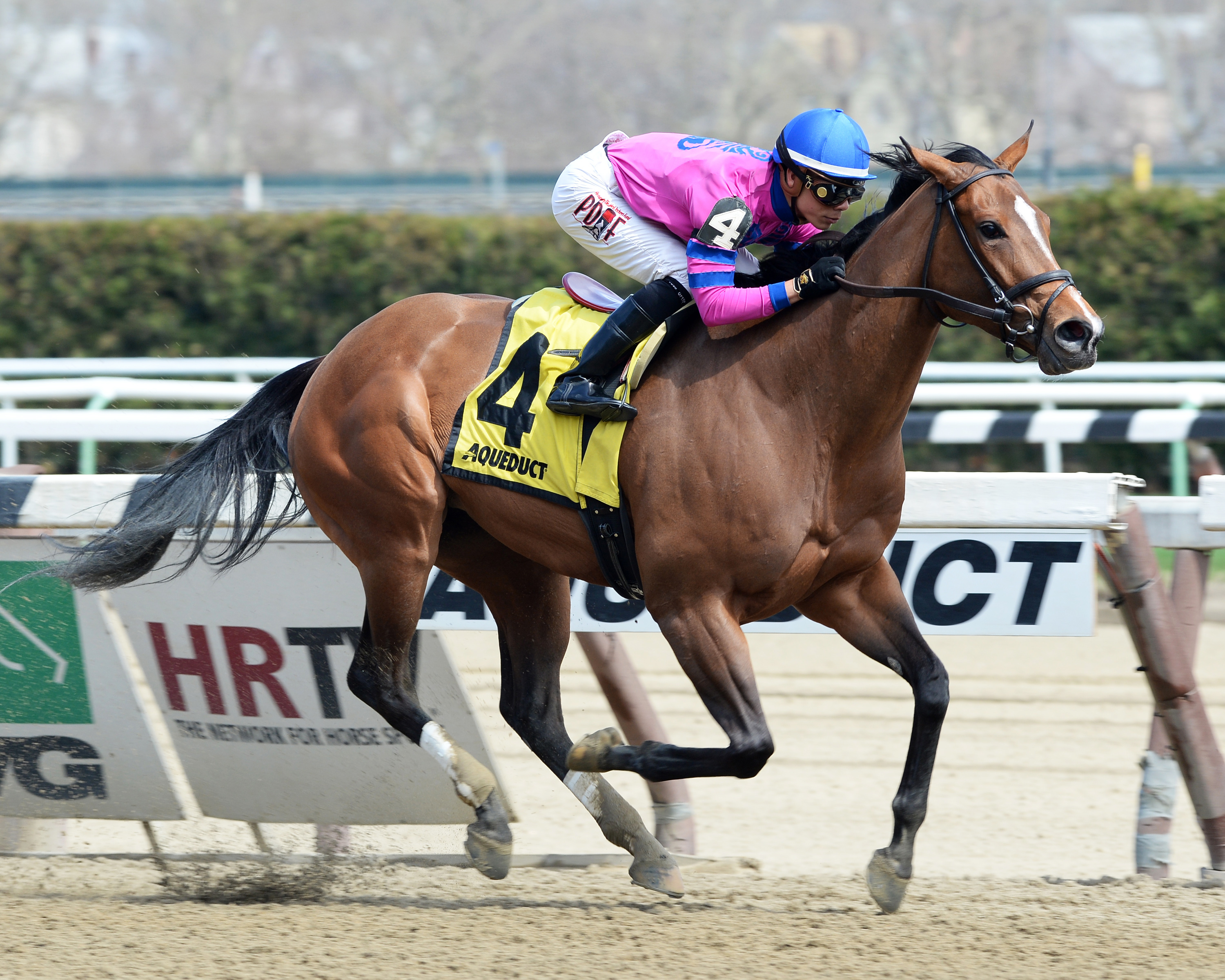 La Verdad wins the Distaff Handicap