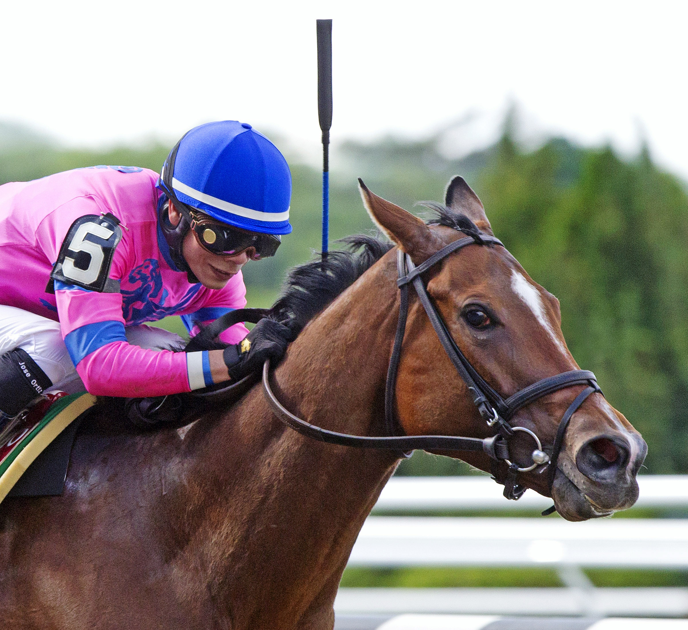 La Verdad wins the Critical Eye
