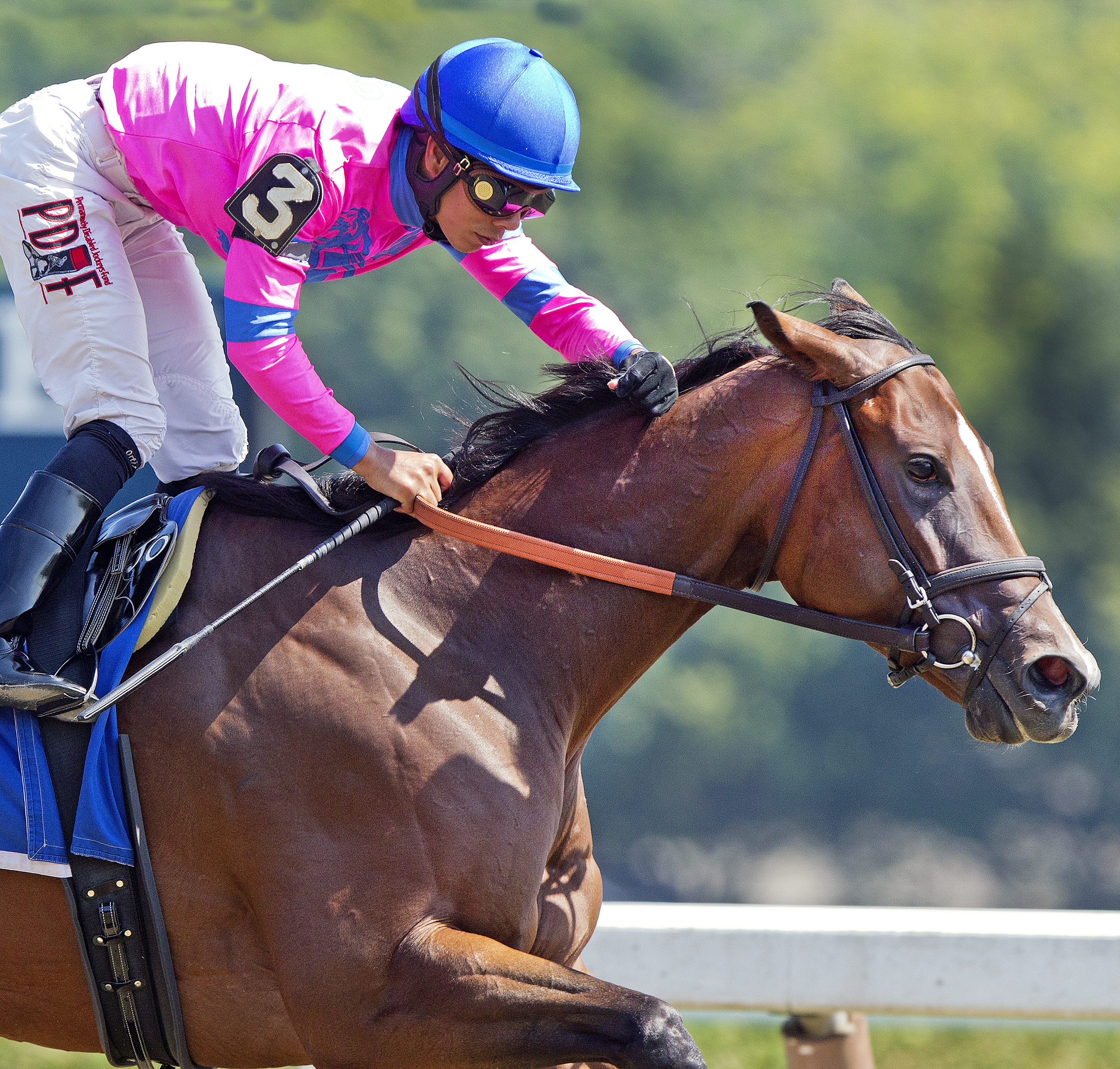 La Verdad wins the Honorable Miss Handicap