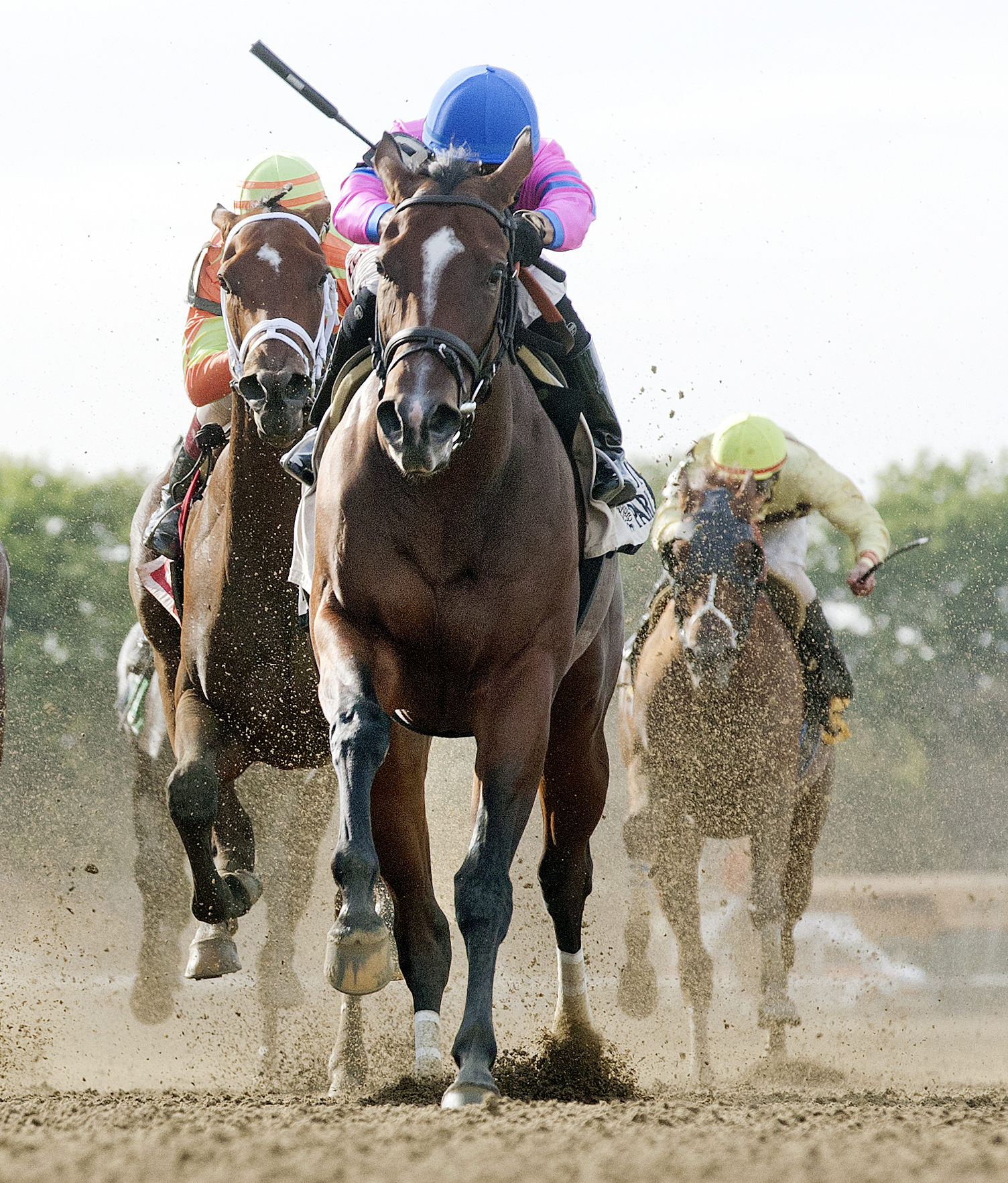 La Verdad wins the Gallant Bloom