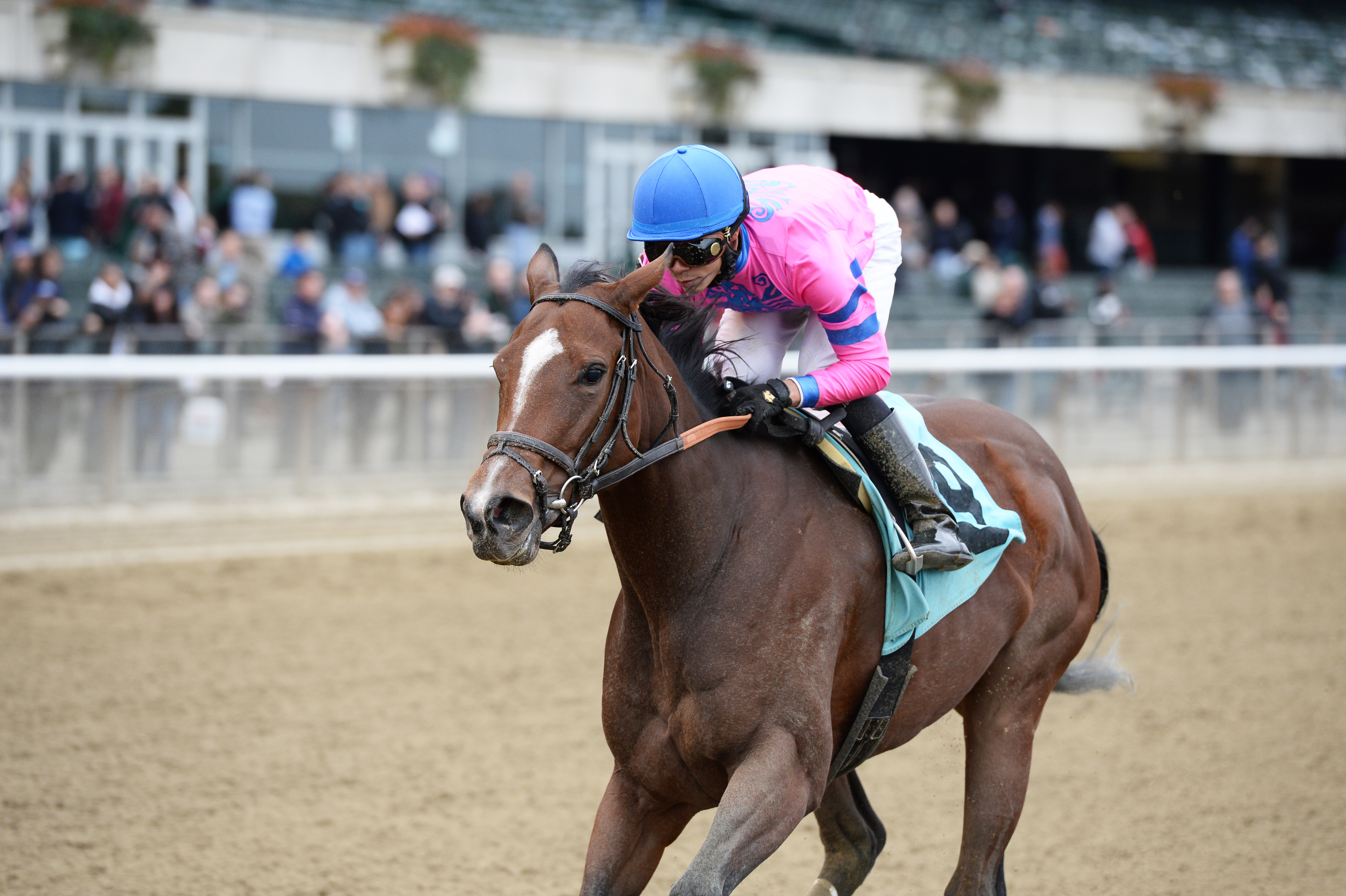 La Verdad wins the Iroquois
