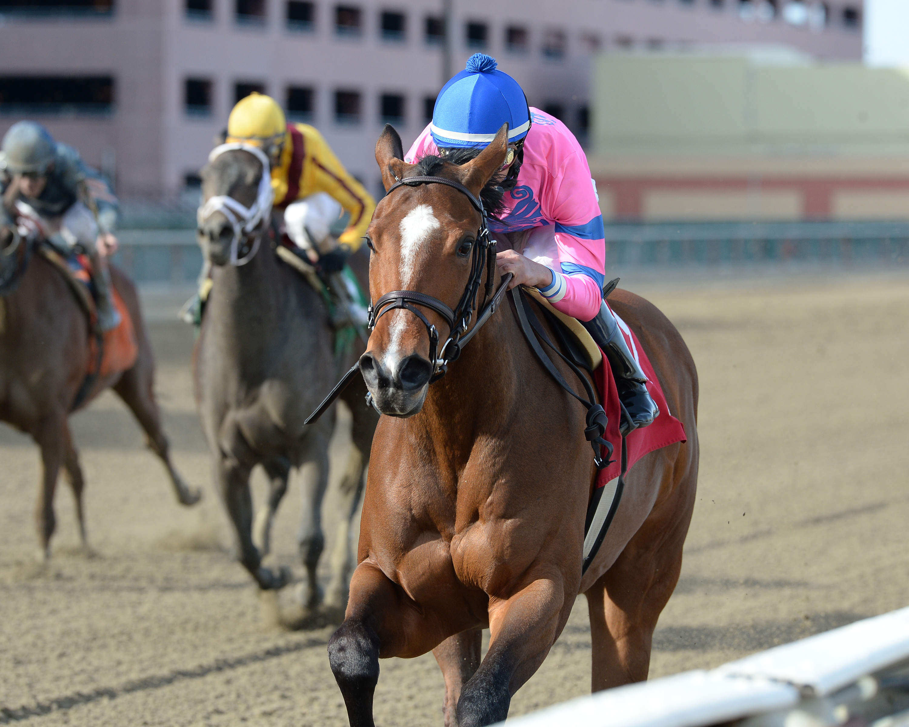 La Verdad wins the Distaff Handicap