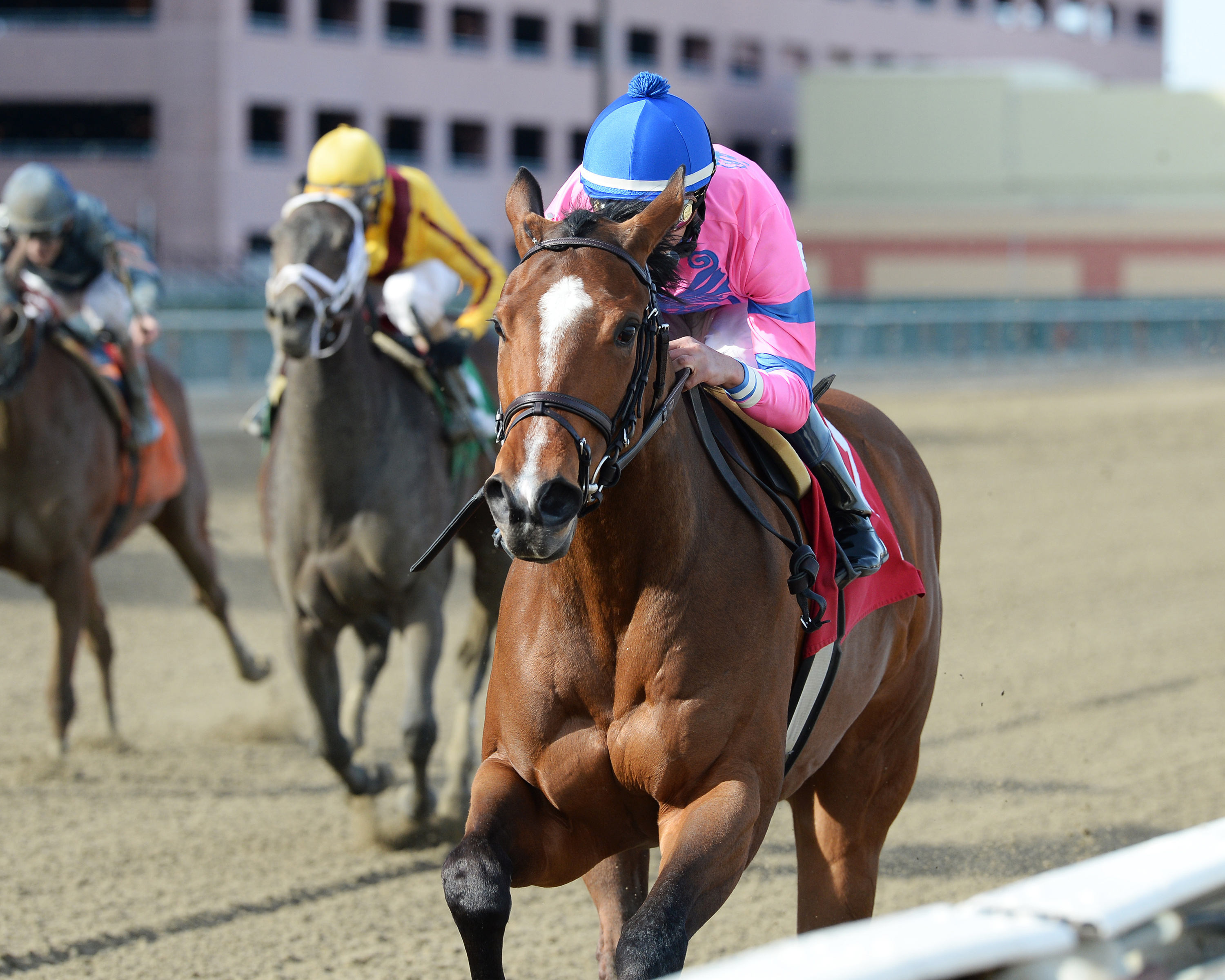 La Verdad wins the Distaff Handicap