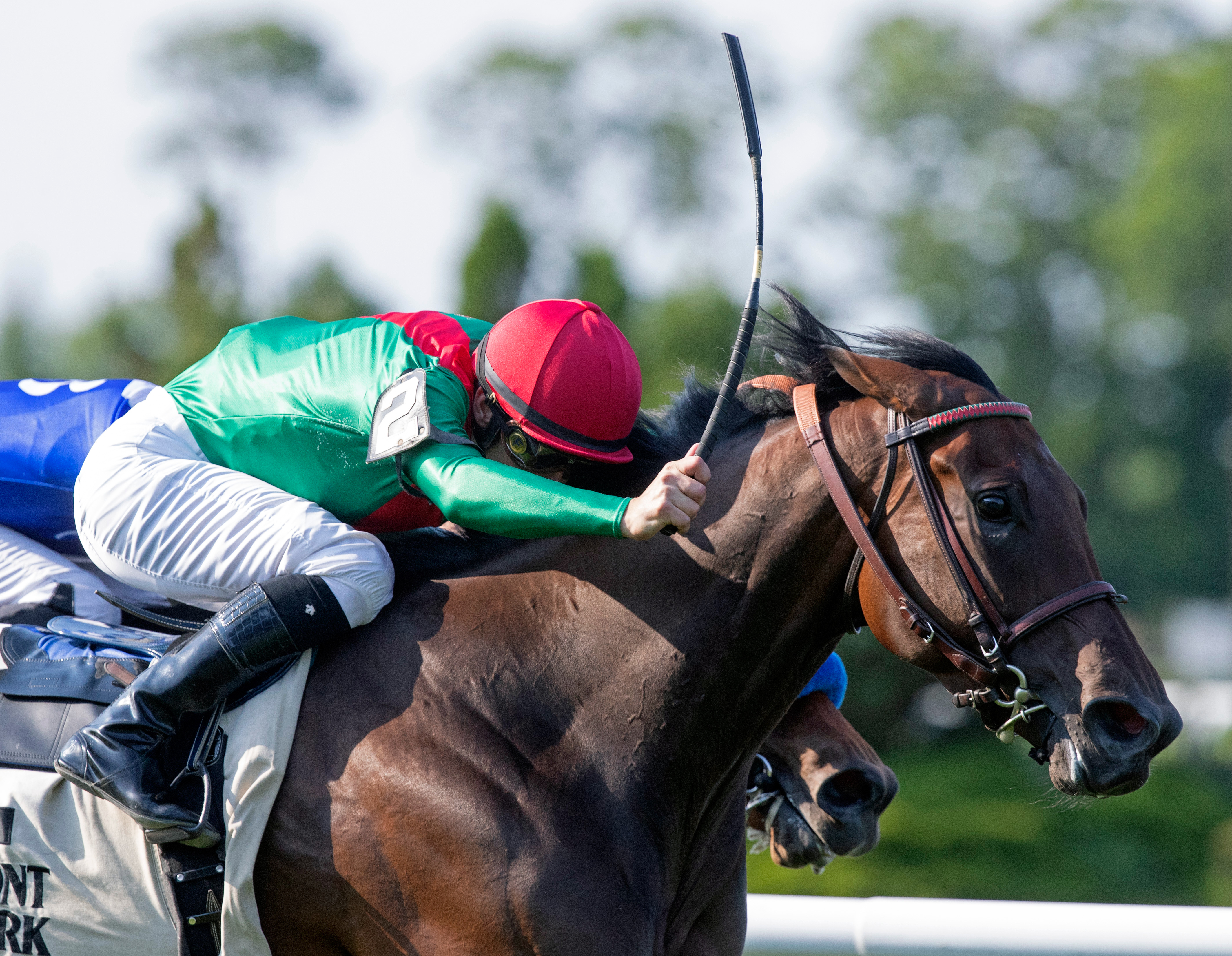 La Sardane wins the 2018 Intercontinental Stakes at Belmont Park