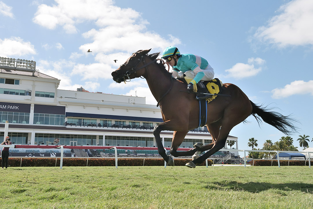 La Signare wins the 2020 Sand Springs Stakes at Gulfstream Park