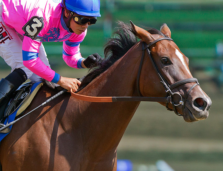 La Verdad wins the 2015 Honorable Miss Handicap at Saratoga Race Course