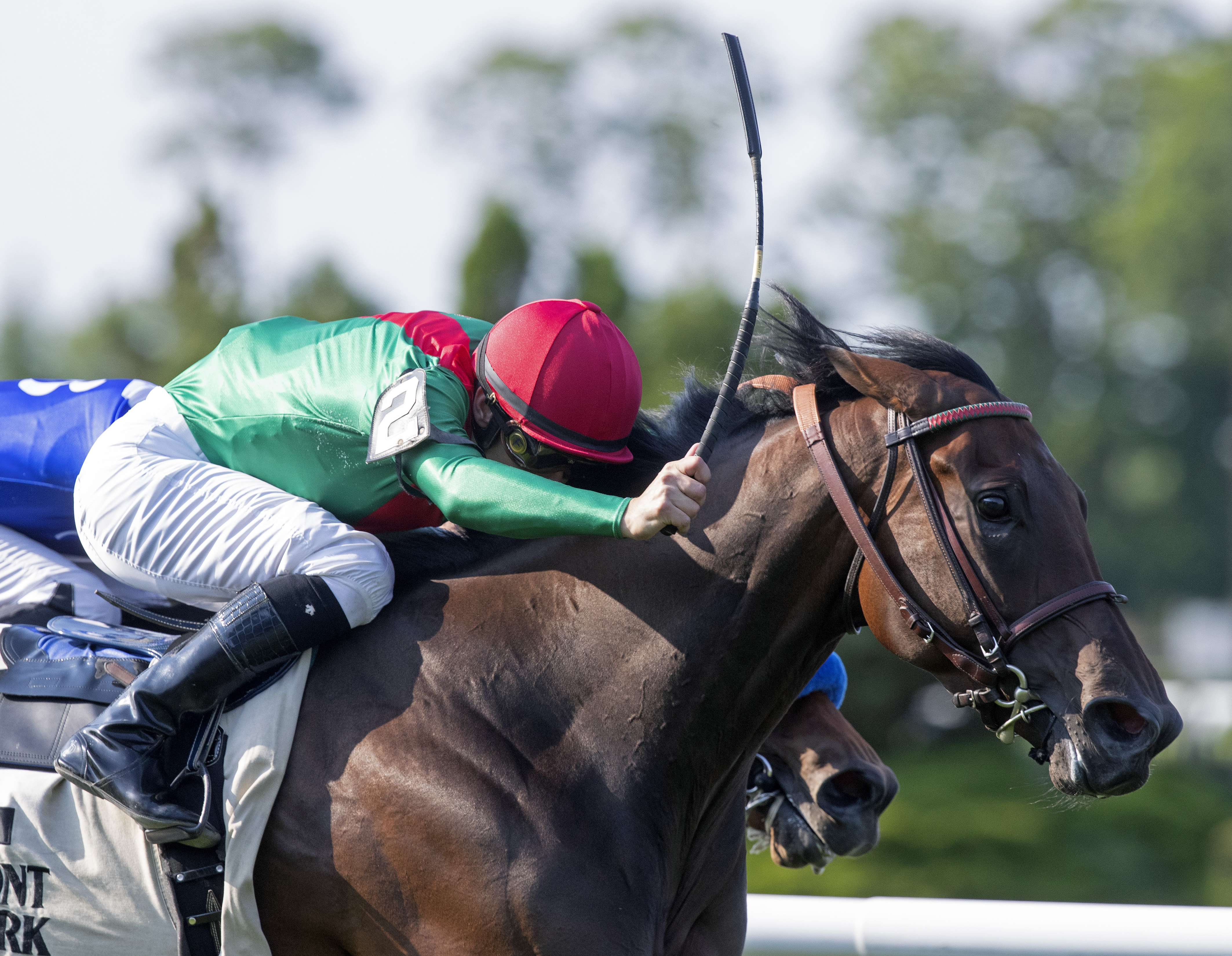 La Sardane wins the 2018 Intercontinental Stakes