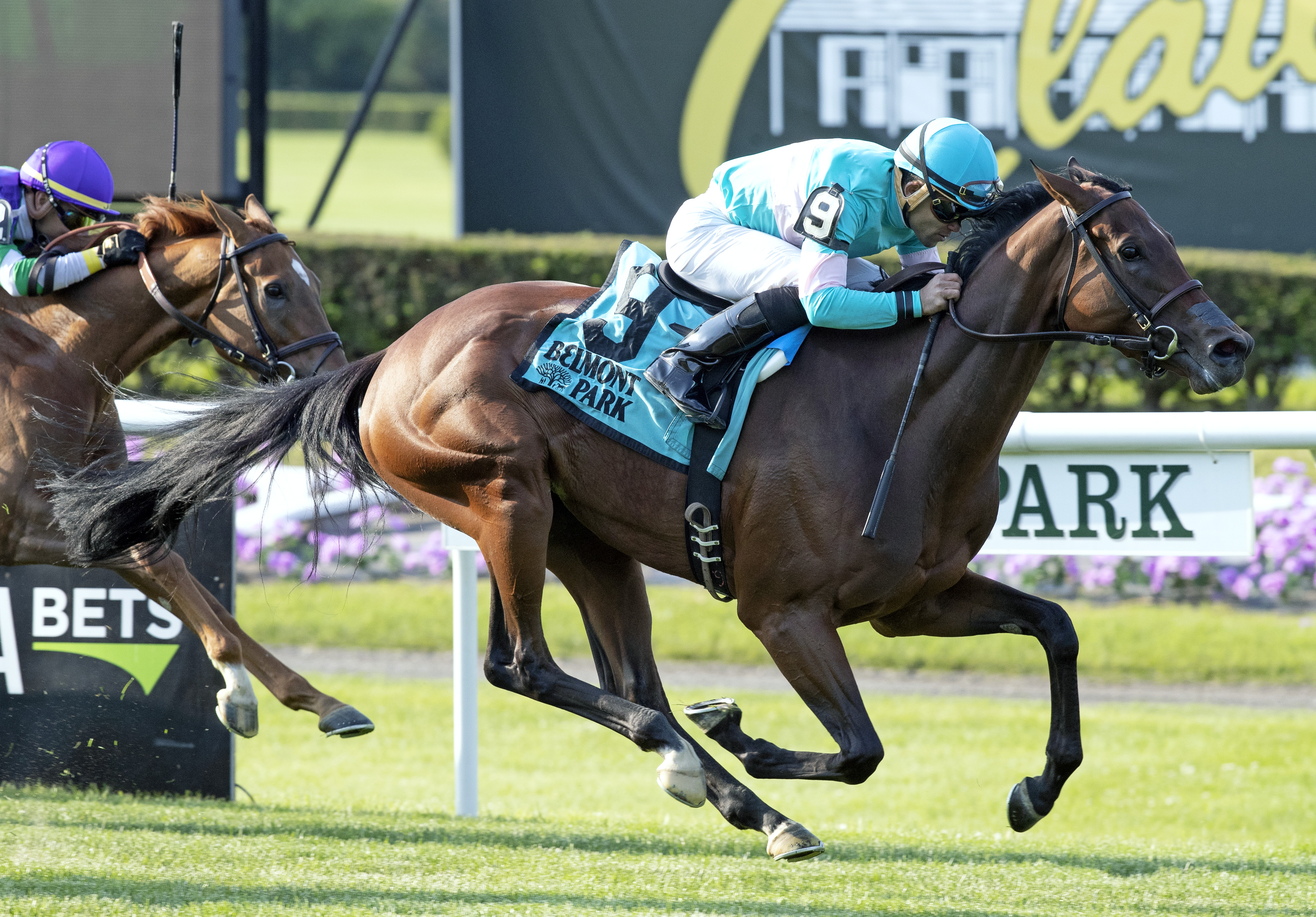 La Signare wins the 2018 Wonder Again Stakes