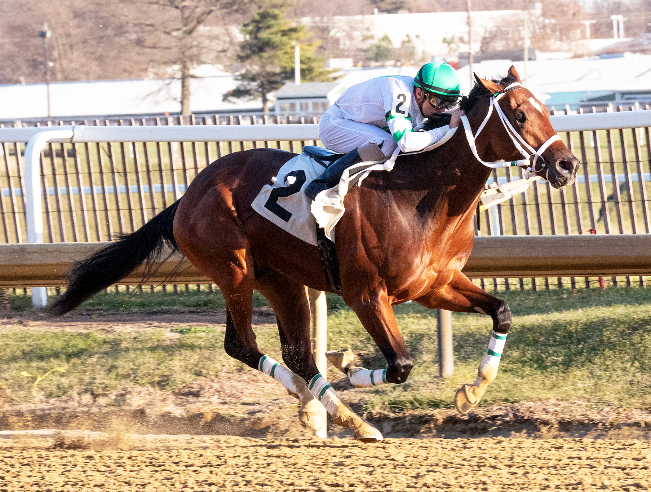 Laddie Liam wins the 2019 Maryland Futurity at Laurel Park