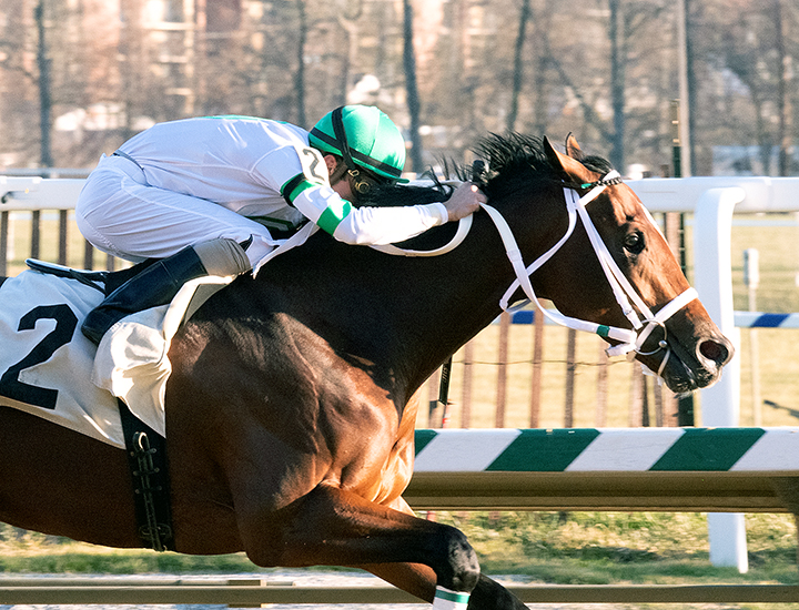 Laddie Liam wins the 2019 Maryland Juvenile Futurity Stakes at Laurel Park