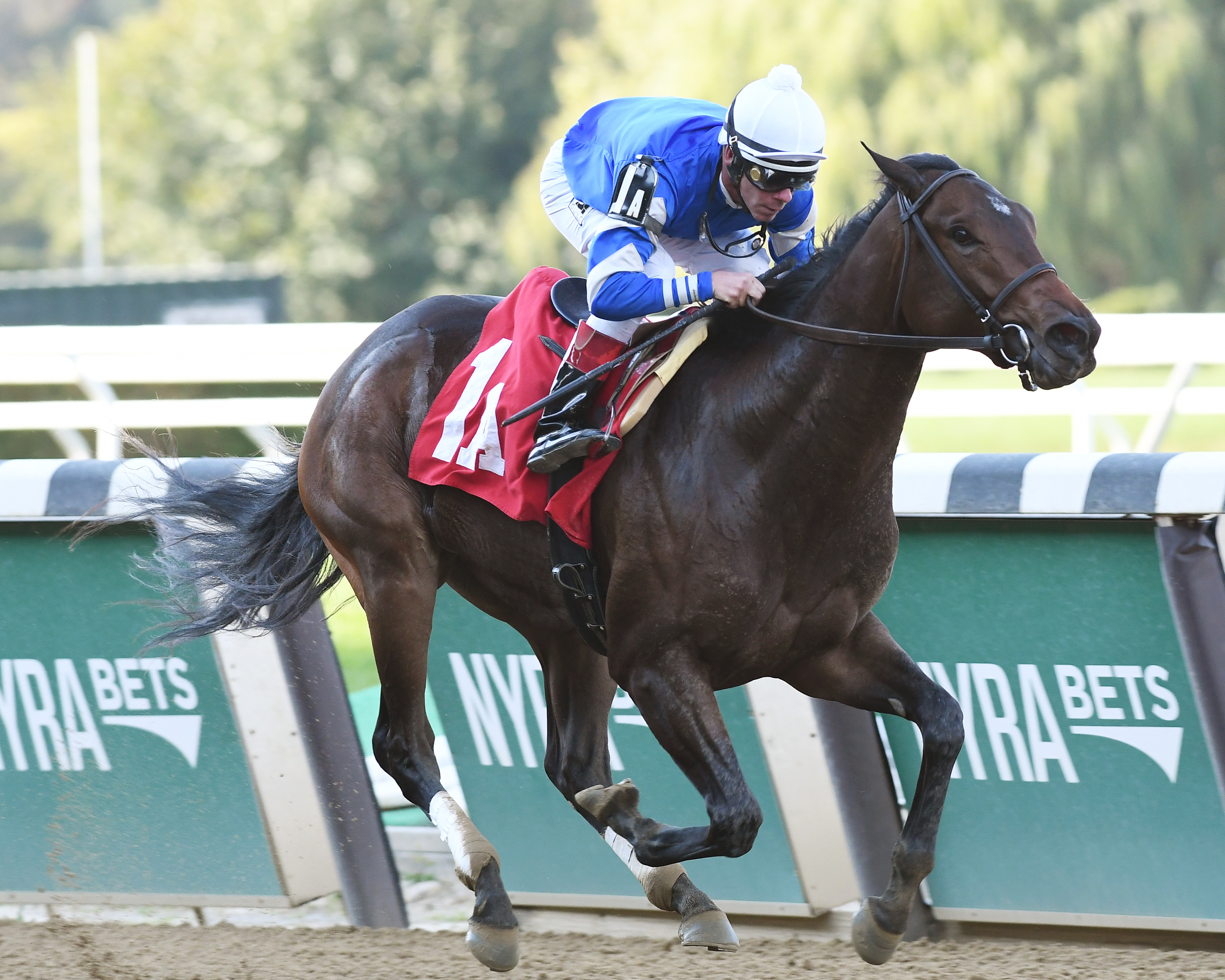 Ladies Day wins a maiden race