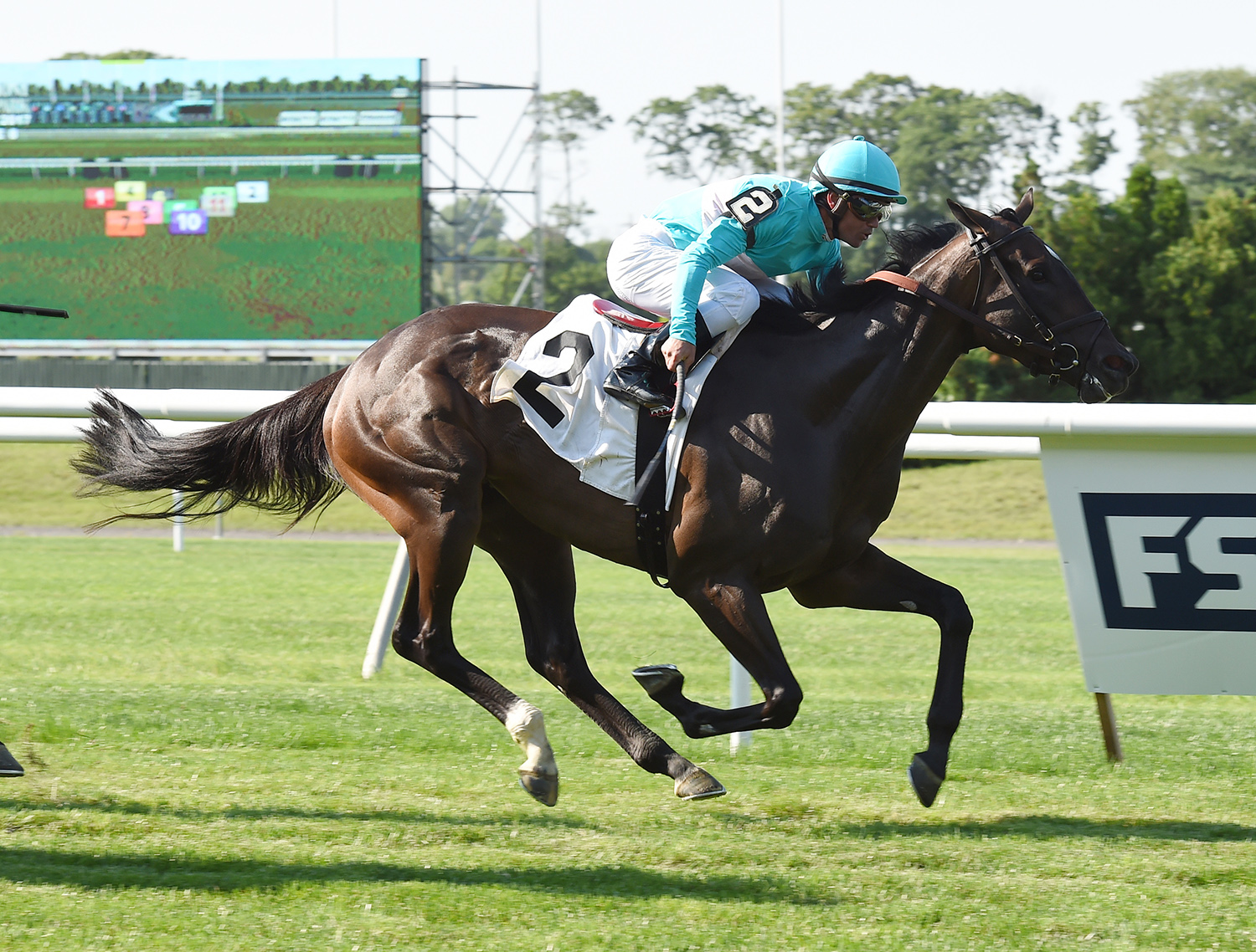 Lady Alexandra wins a June 22, 2017 allowance