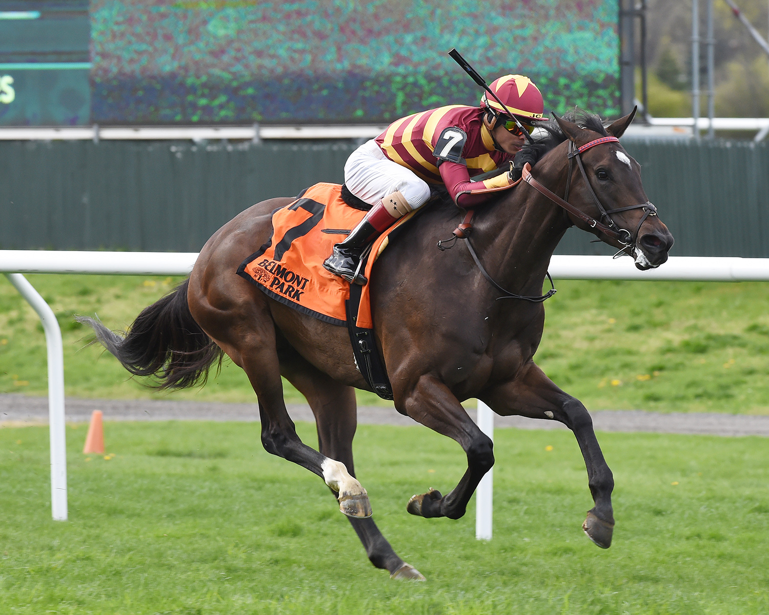 Lady Alexandra wins the License Fee Stakes