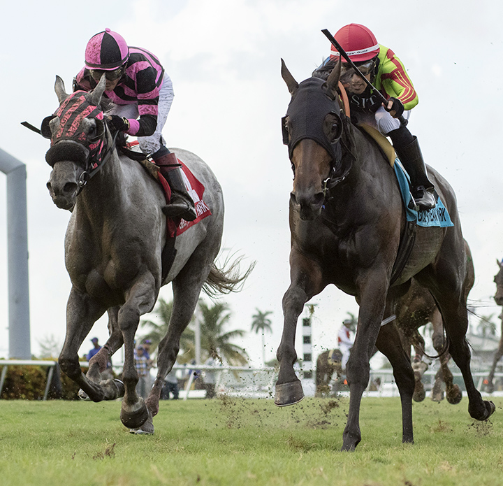 Una Luna (left) finishes second in the Treasure Coast Stakes at Gulfstream Park