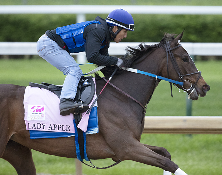 Lady Apple trains at Churchill on April 28