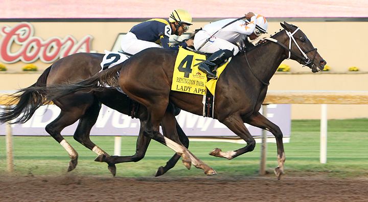 Lady Apple wins the 2019 Remington Oaks at Remington Park