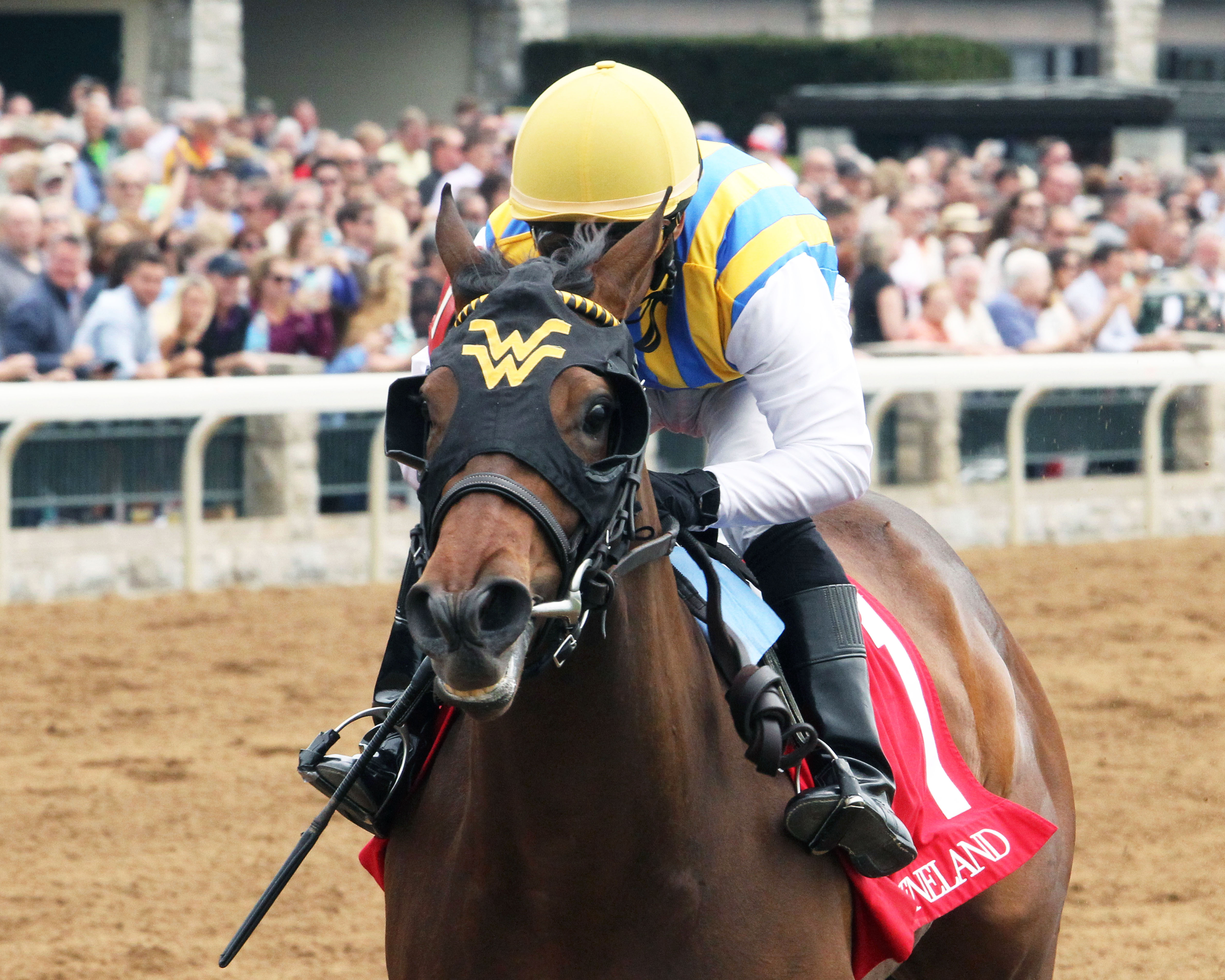 Lady Aurelia sets a track record in a maiden race