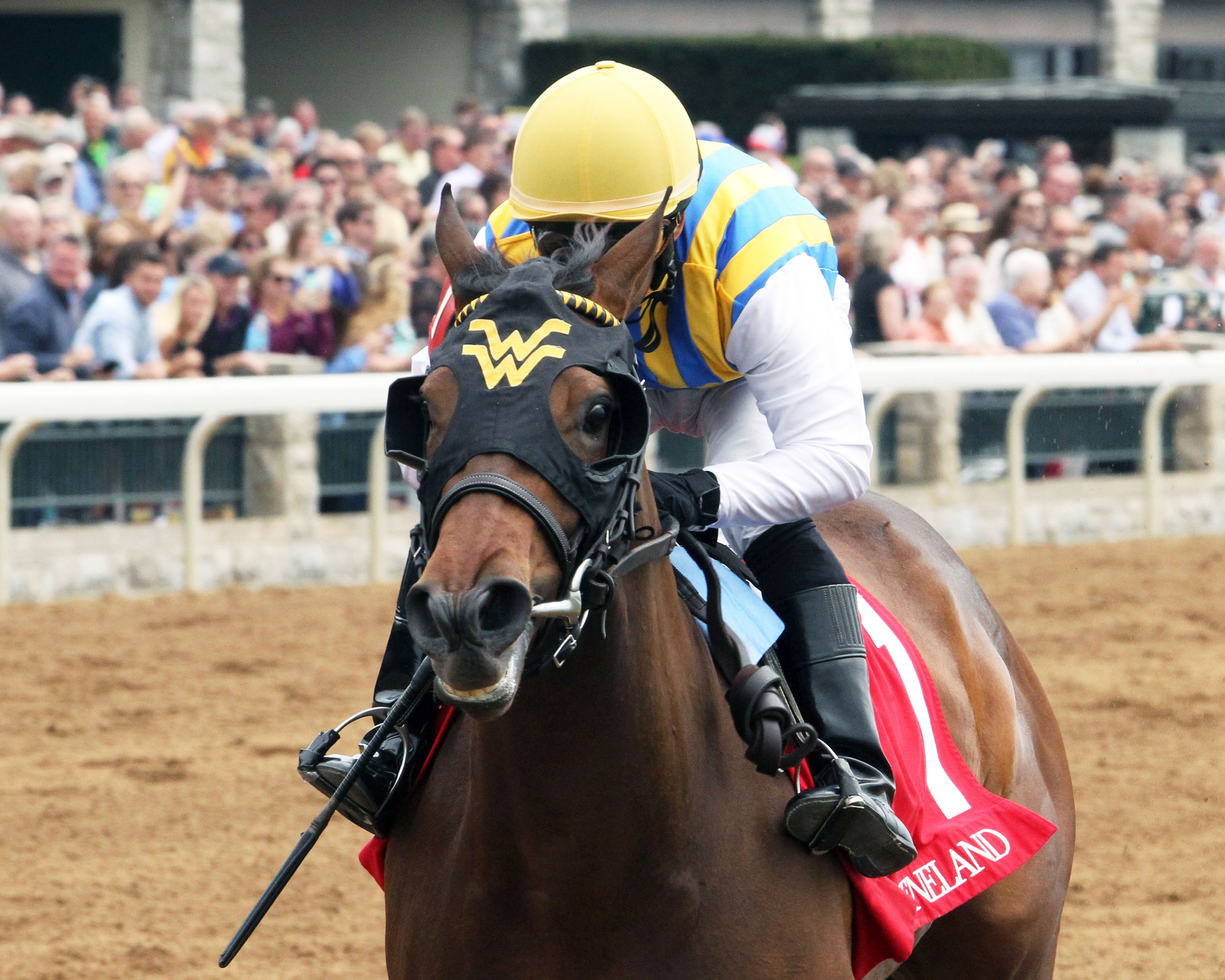 Lady Aurelia wins a maiden race