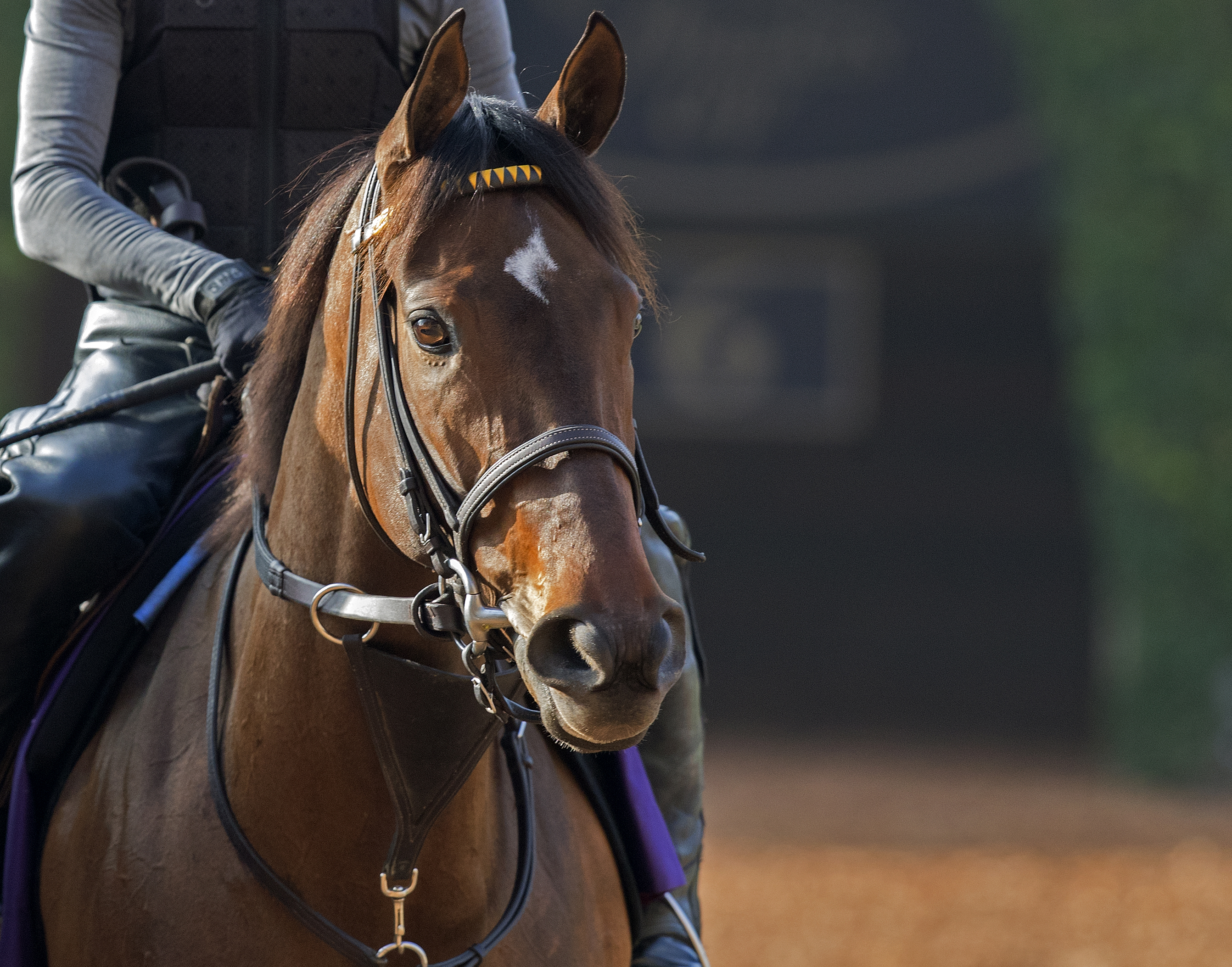 Lady Aurelia on Oct. 28