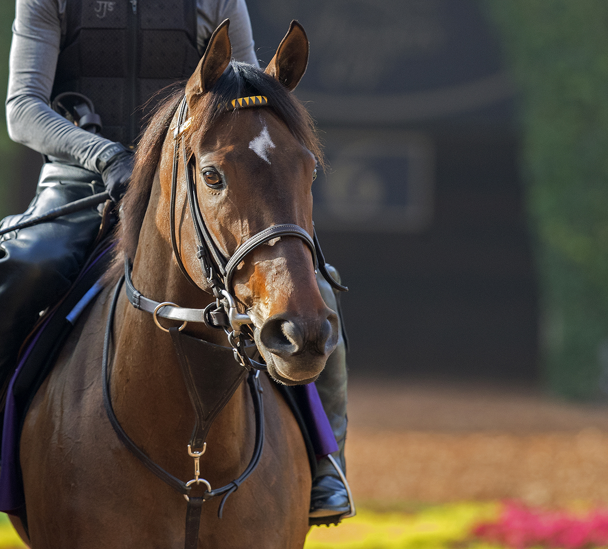 Lady Aurelia portrait