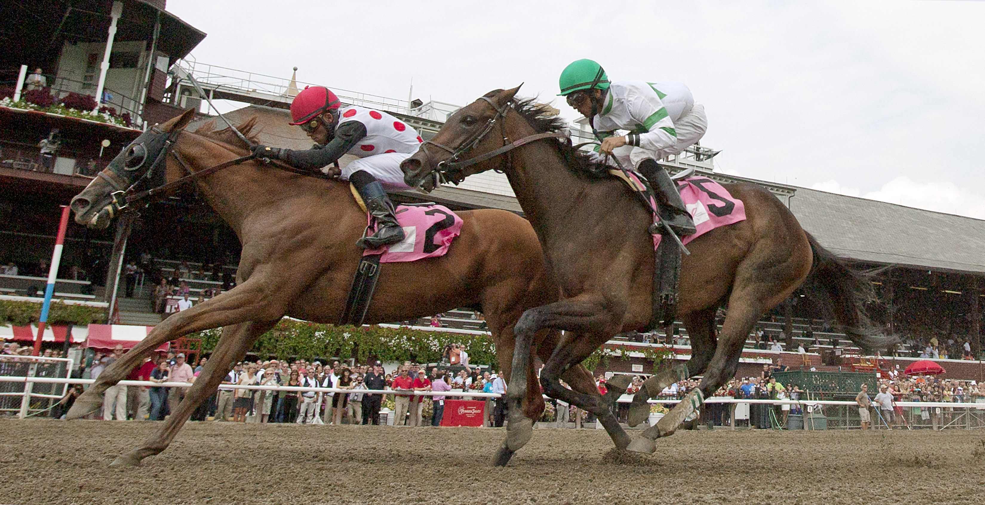 Lady Cohiba/Summer Guest Stakes