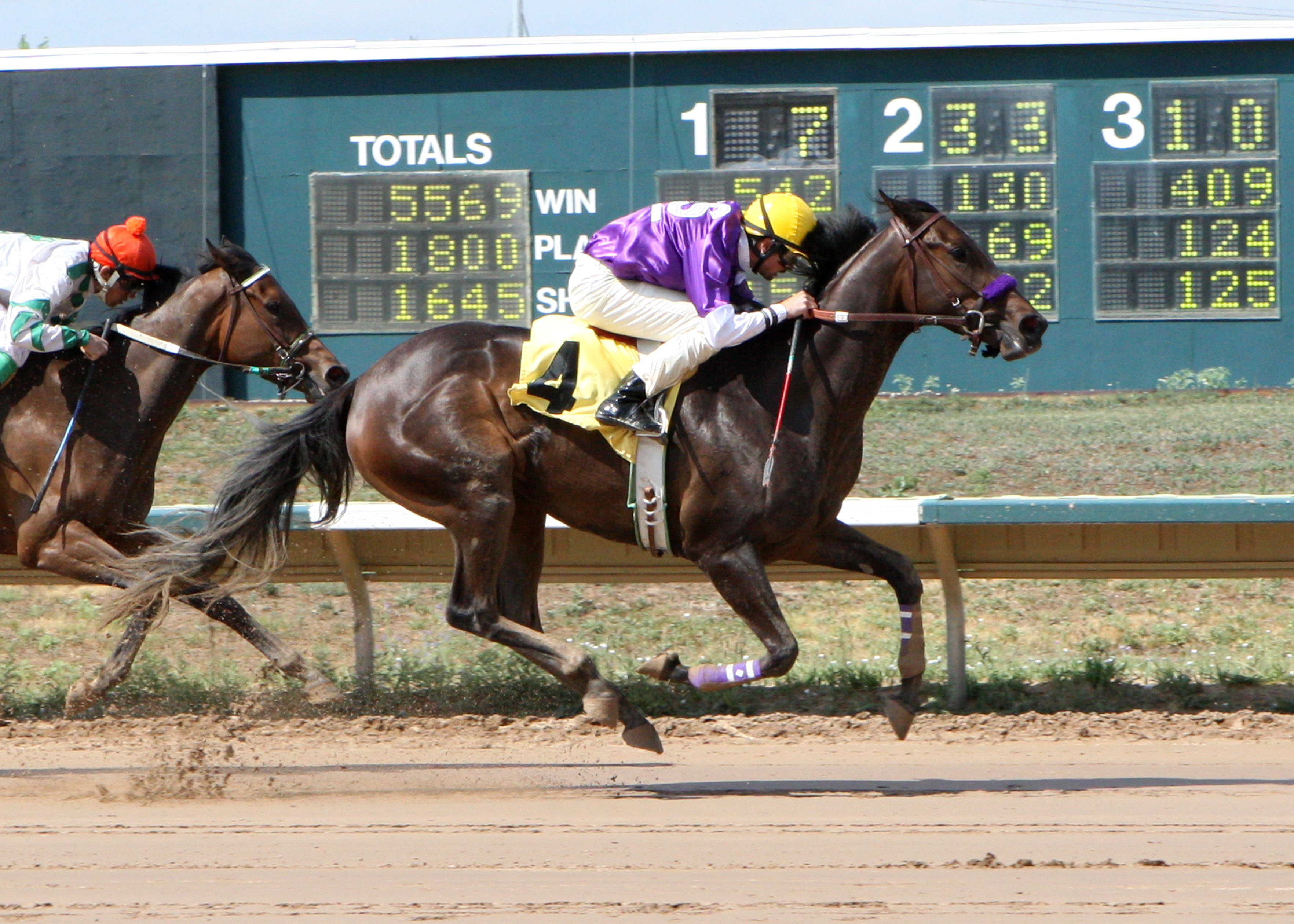 Lady Contender/Wafer