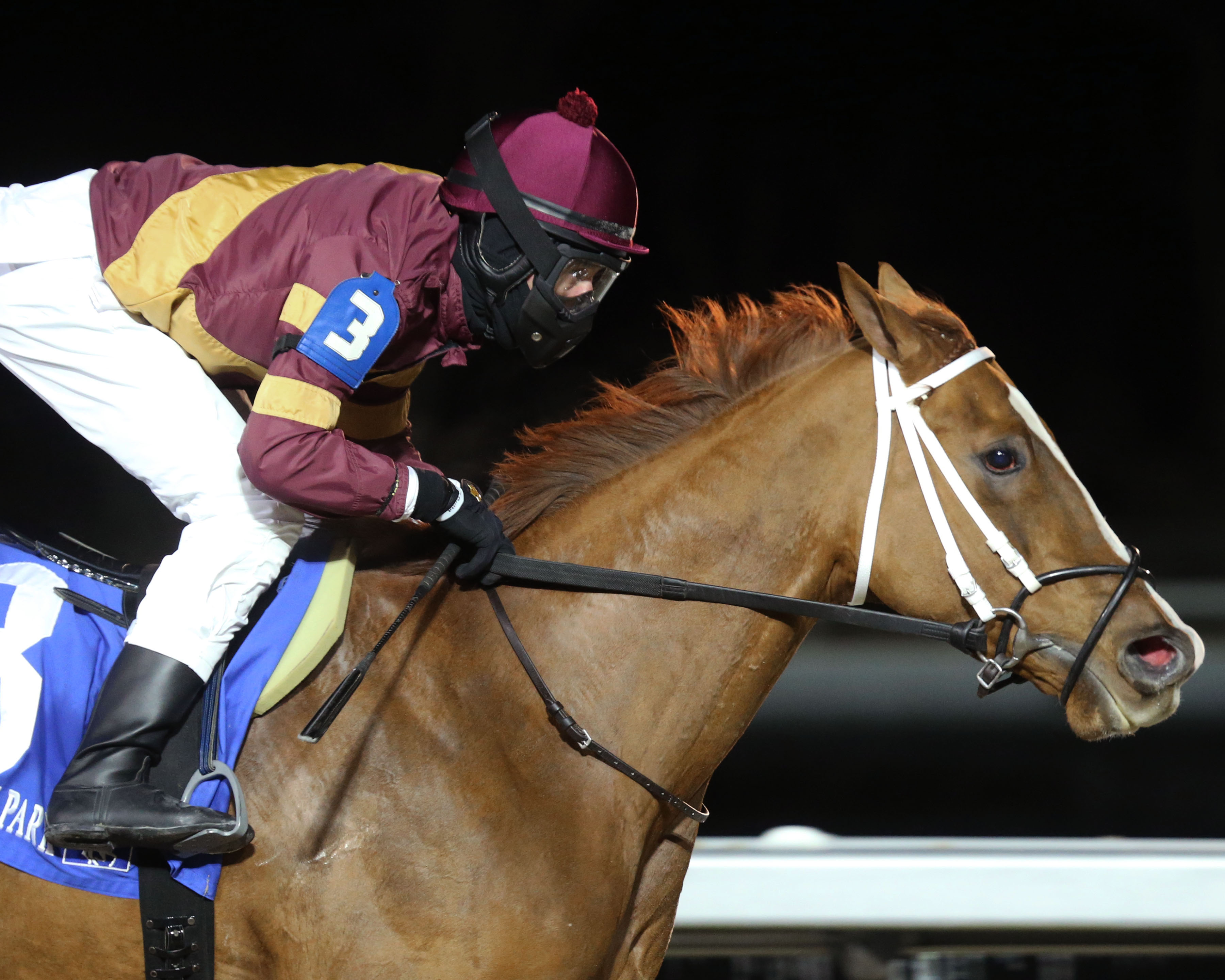 Lady Edith wins the Wishing Well at Turfway Jan 29 2022