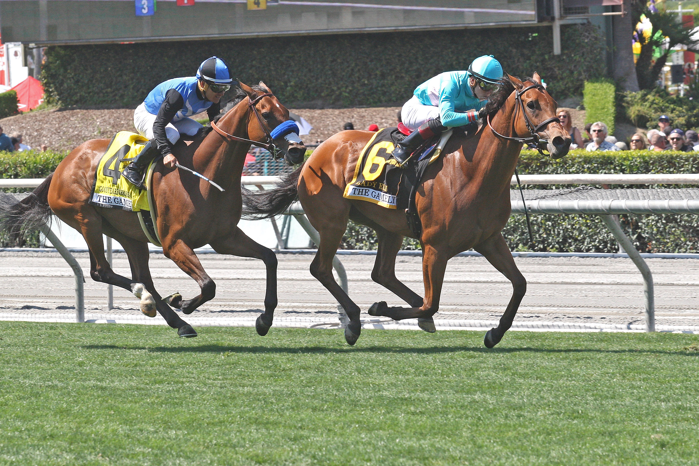 Lady Eli