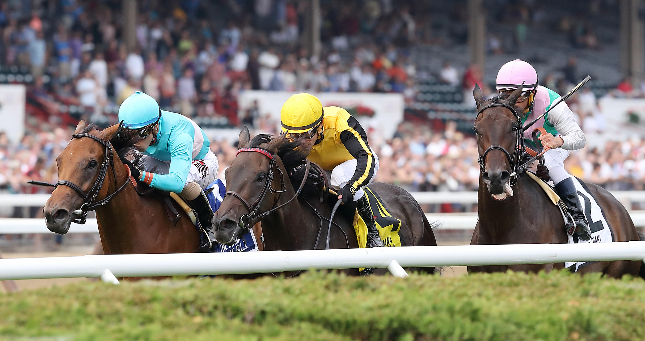 Lady Eli