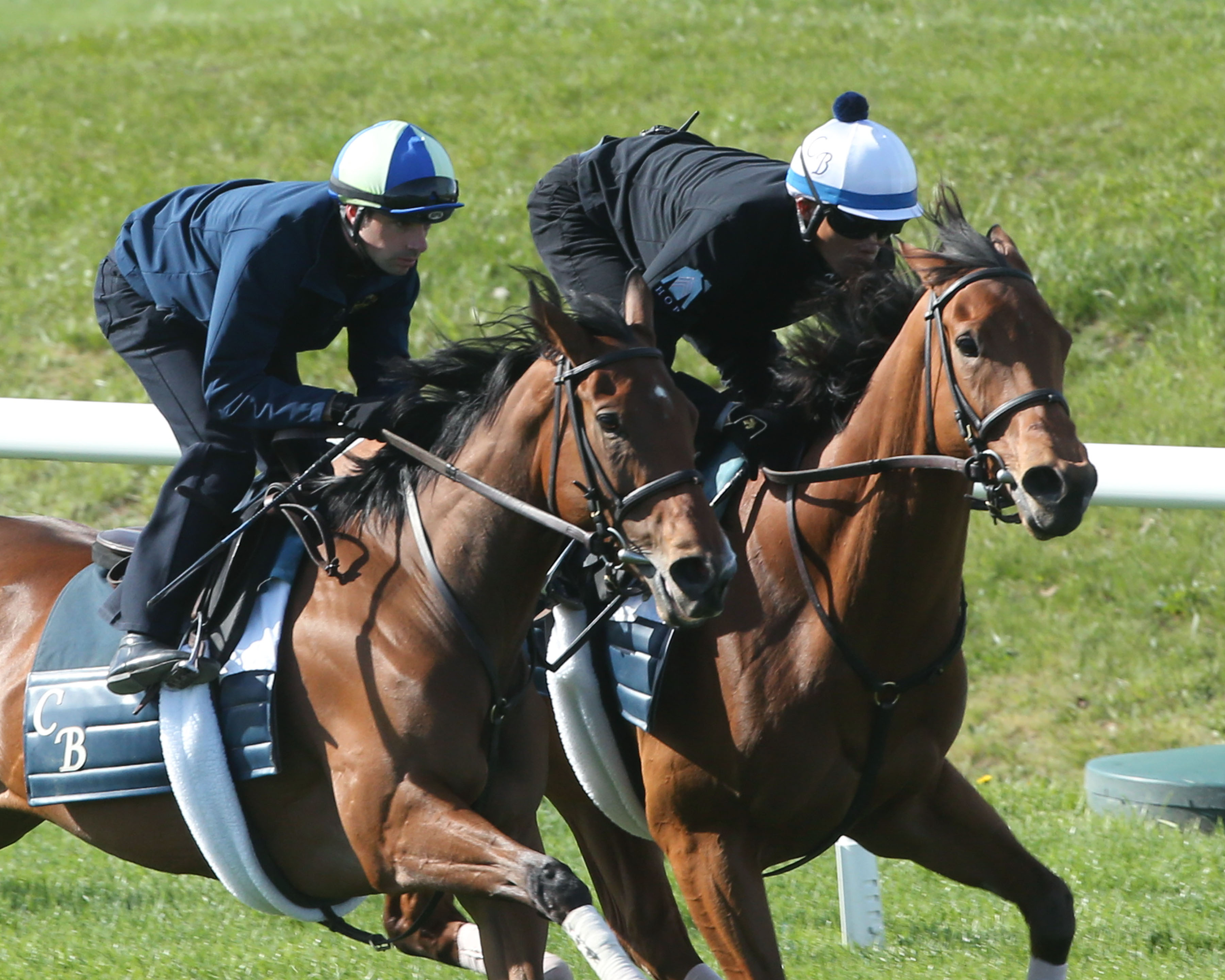 Lady Eli