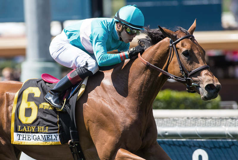 Lady Eli 5-27-2017