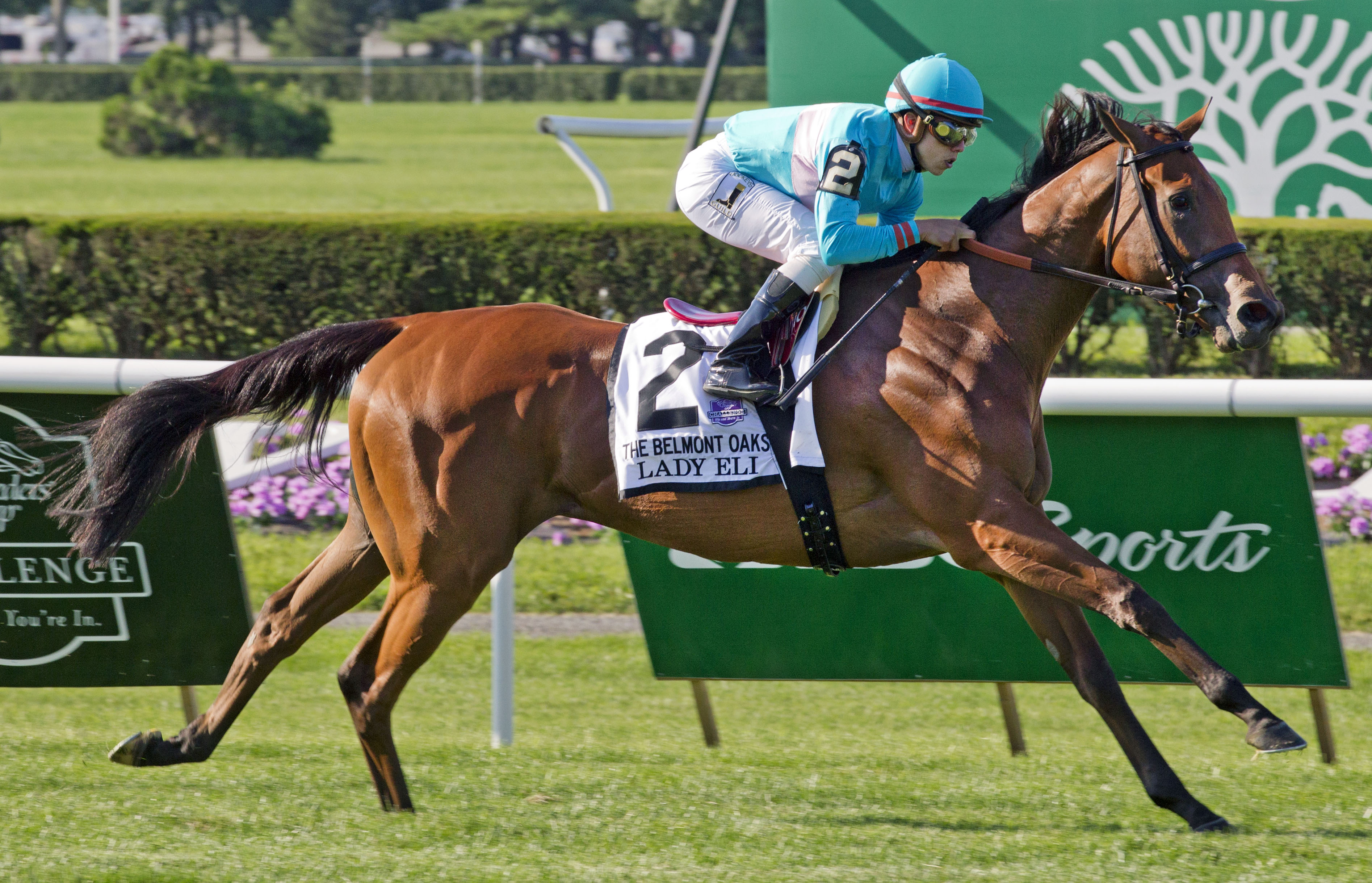 Lady Eli 7-4-15