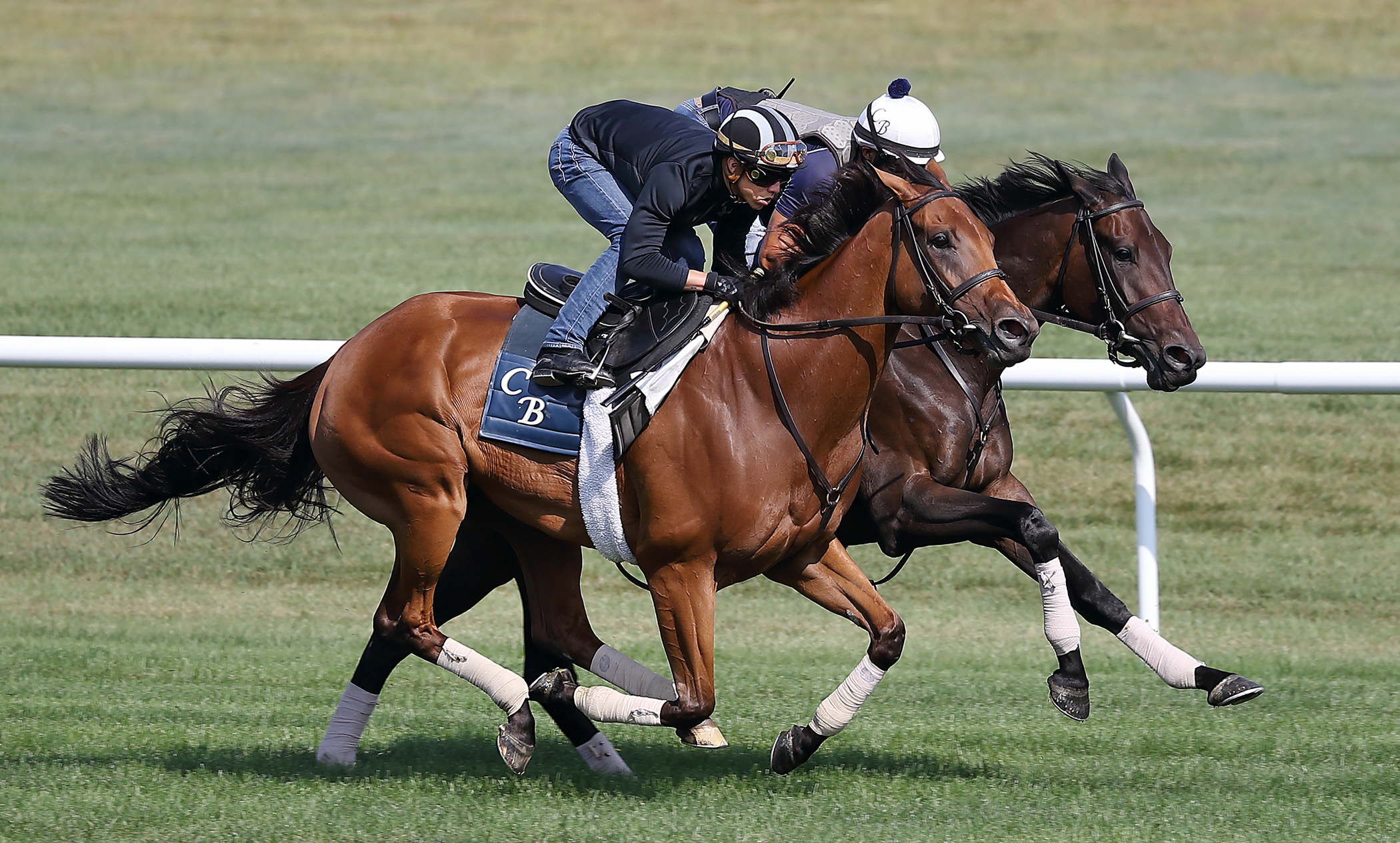 Lady Eli and Antonoe train at Saratoga on Aug. 20