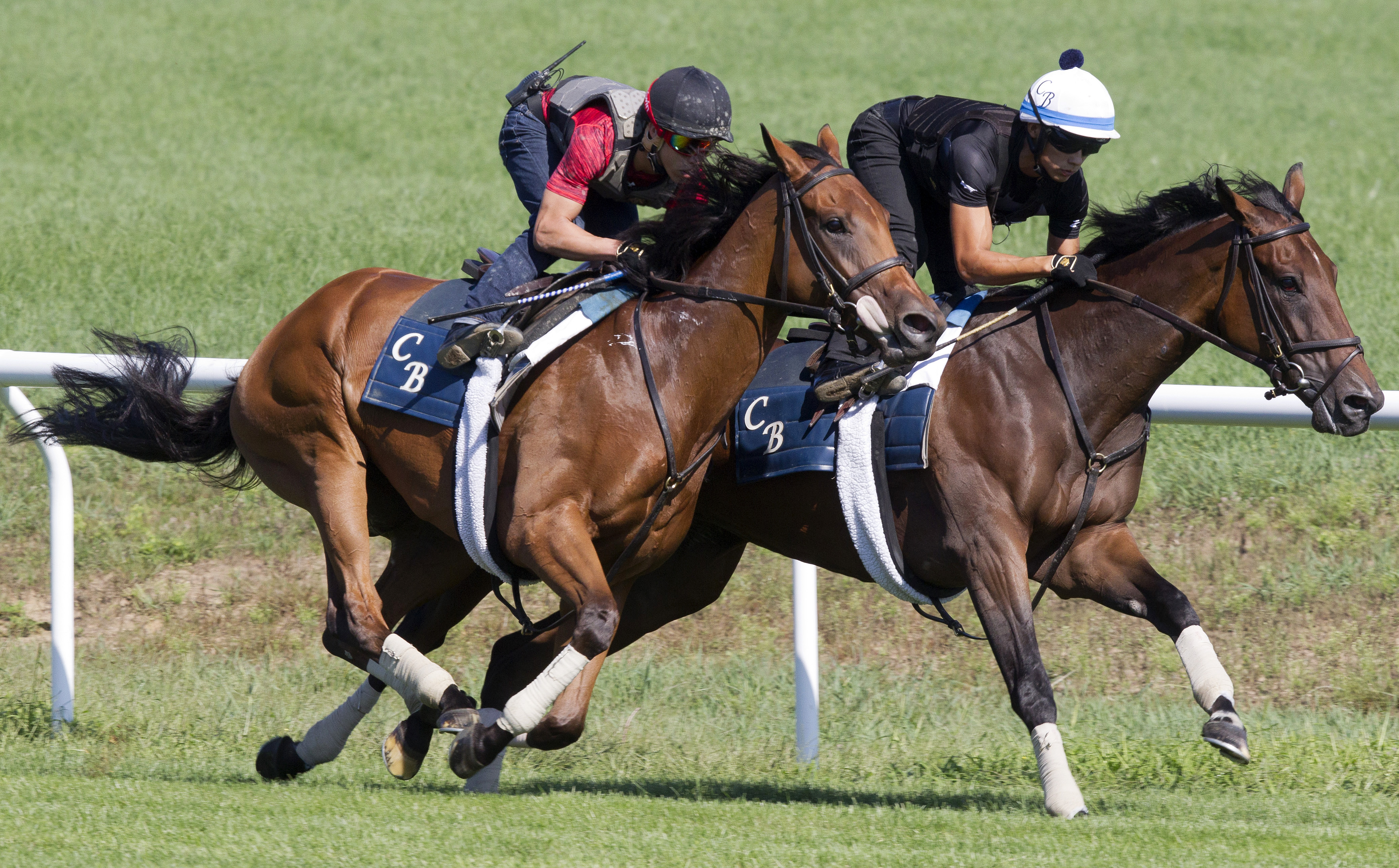 Lady Eli works with Mrs McDougal on Aug. 20
