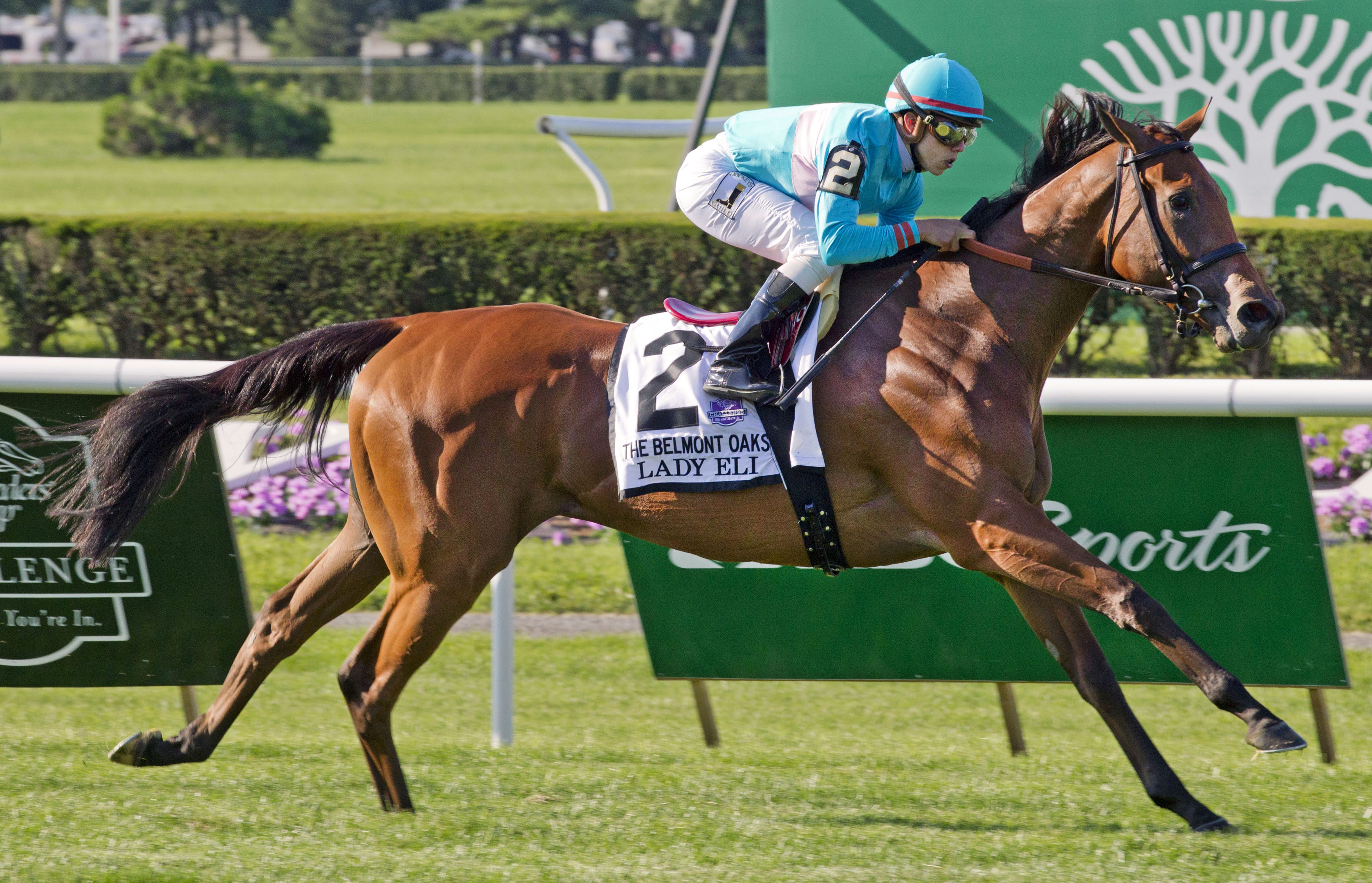 Lady Eli wins the Belmont Oaks