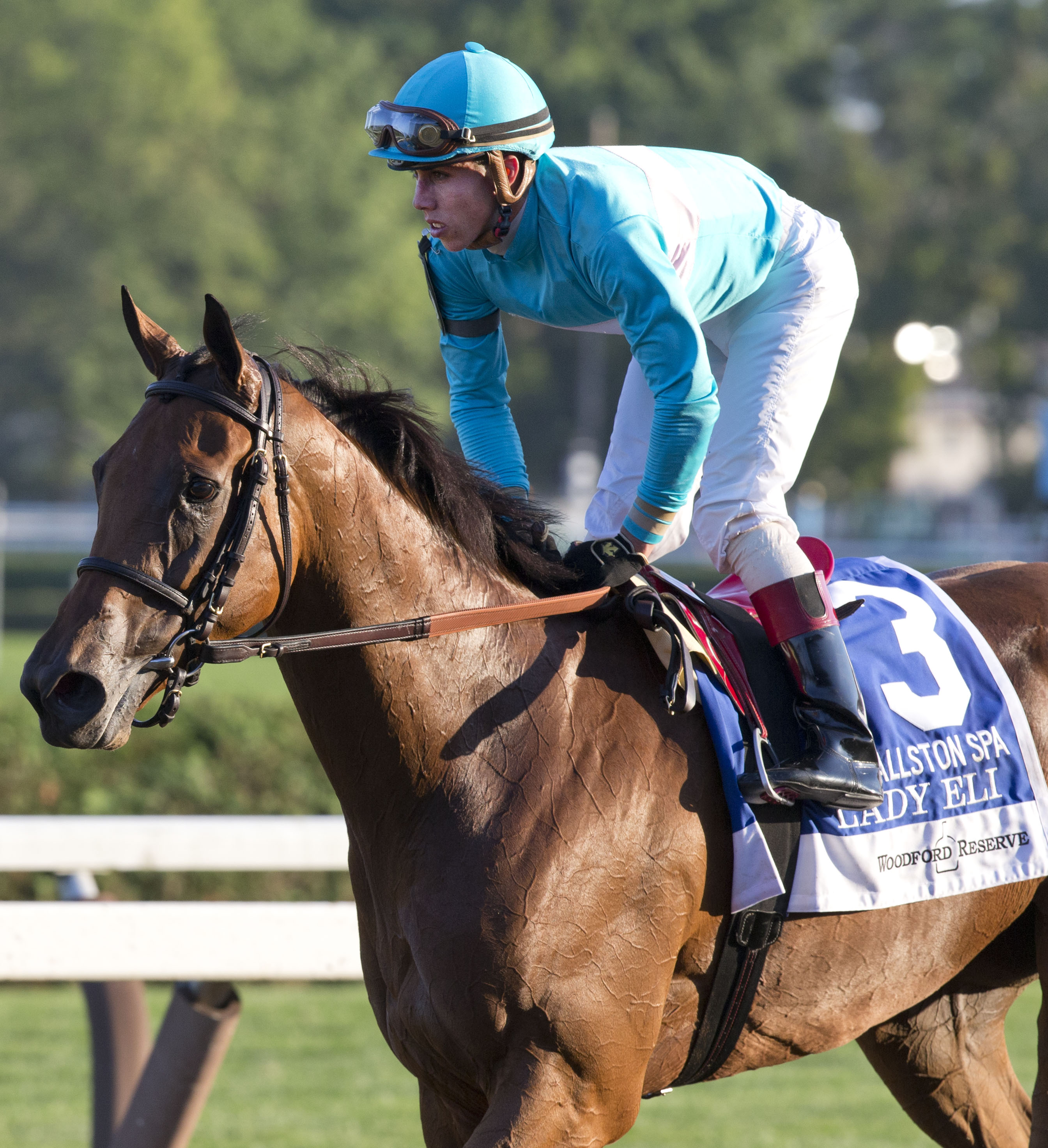 Lady Eli finishes second in the Ballston Spa Stakes