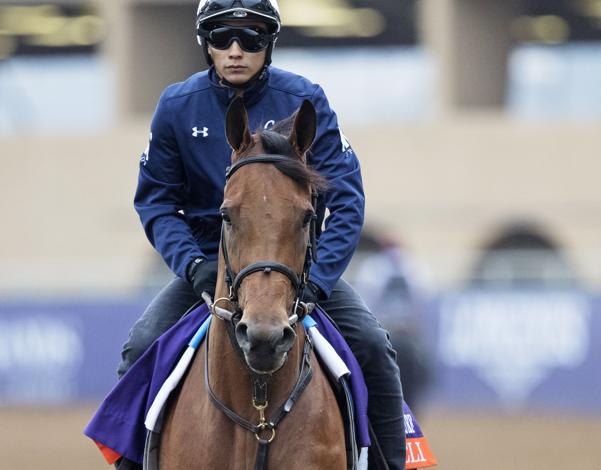 Runnymede Farm hoping to make more history in Breeders' Cup