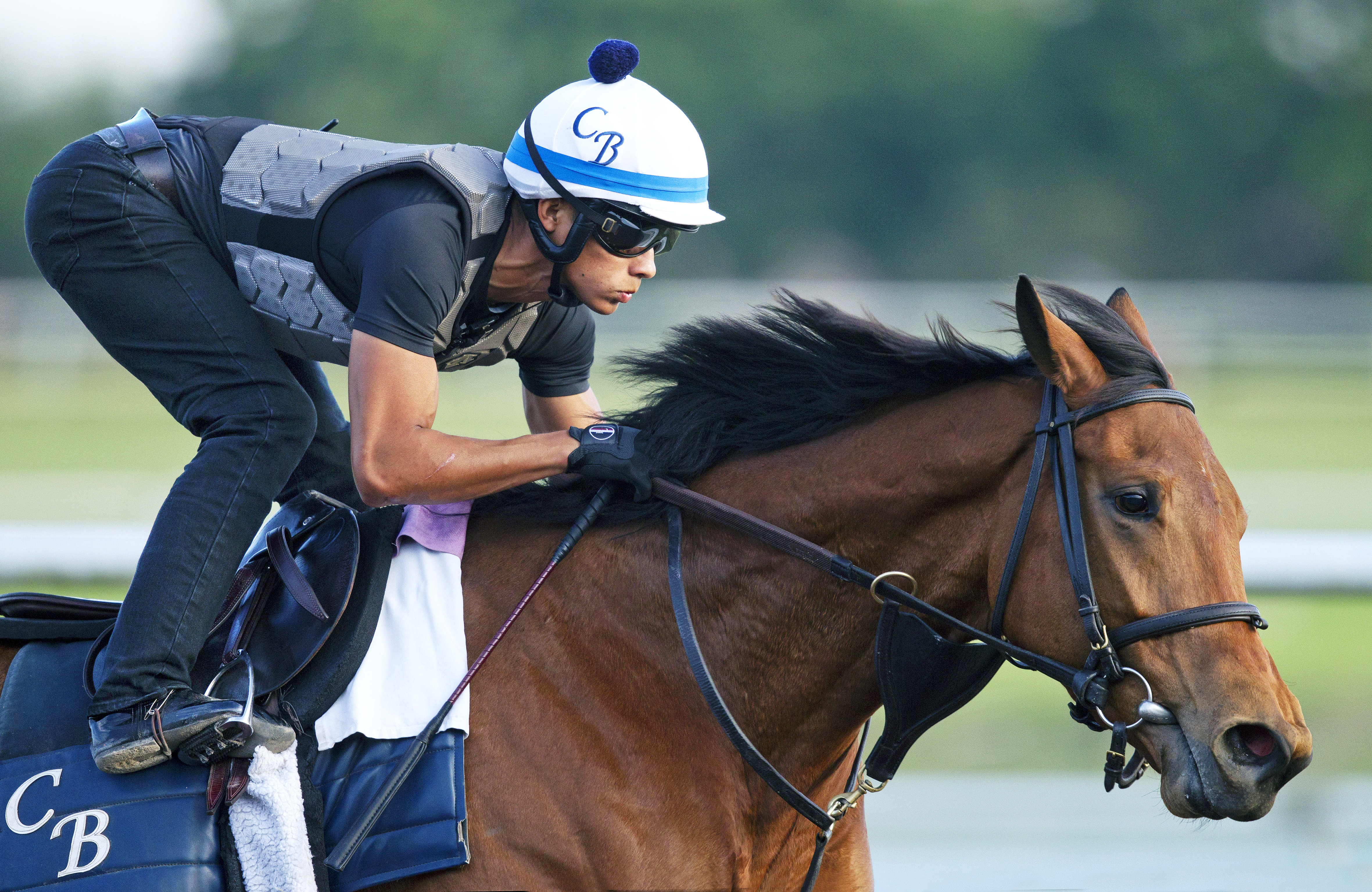 Lady Eli trains at Palm Meadows on March 21