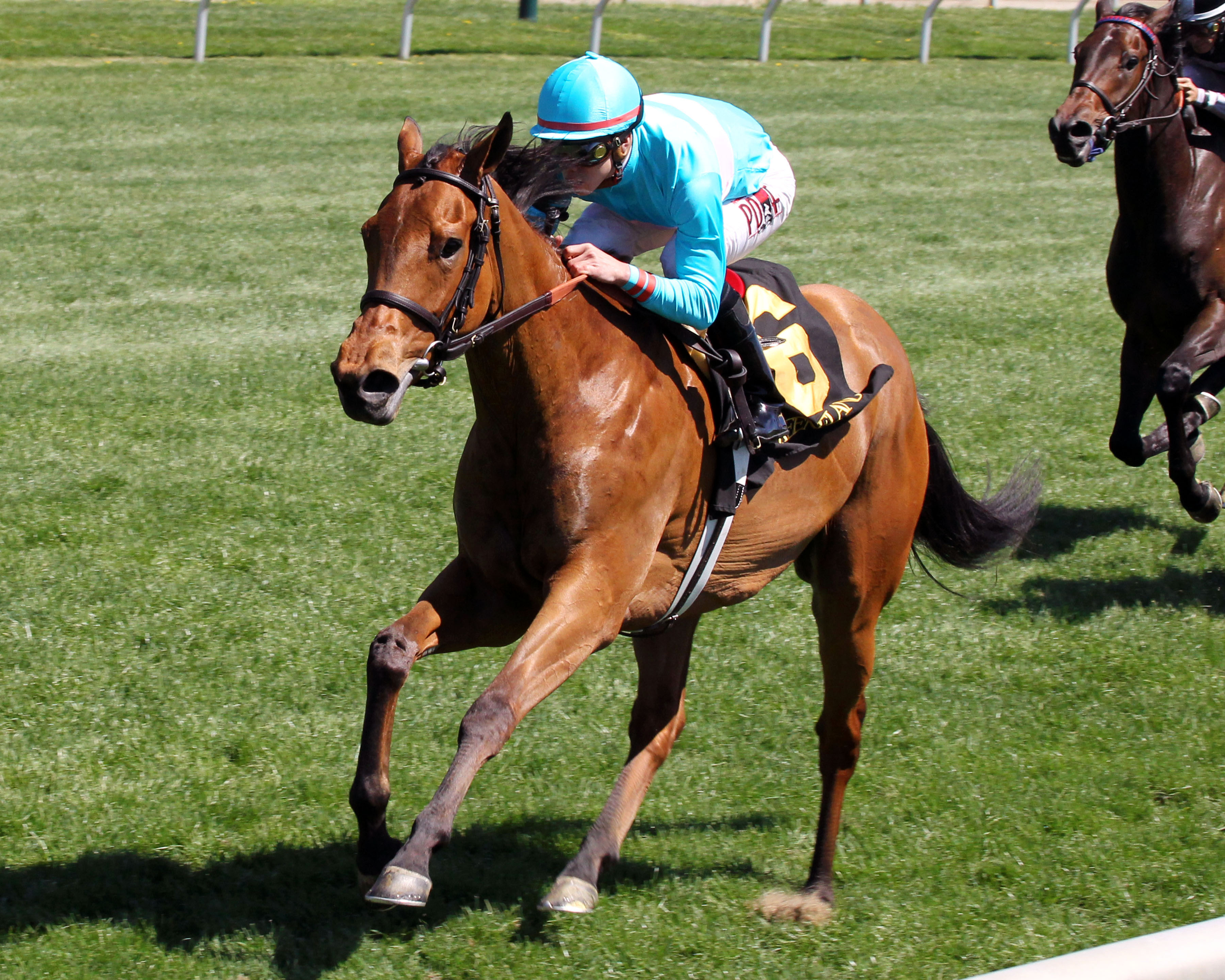 Lady Eli wins the Appalachian